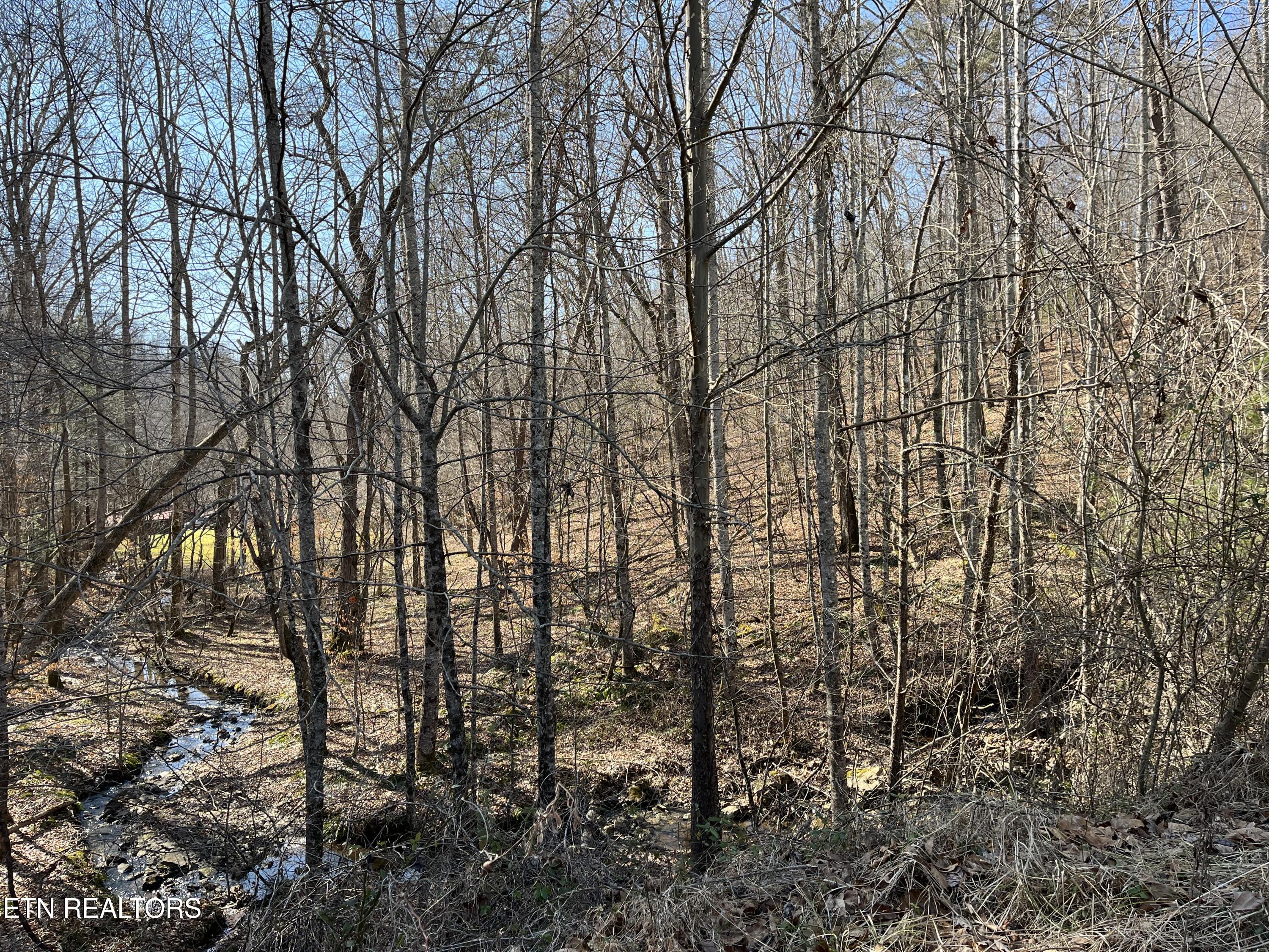 162.45ac Mill Creek Rd Property Photo 13