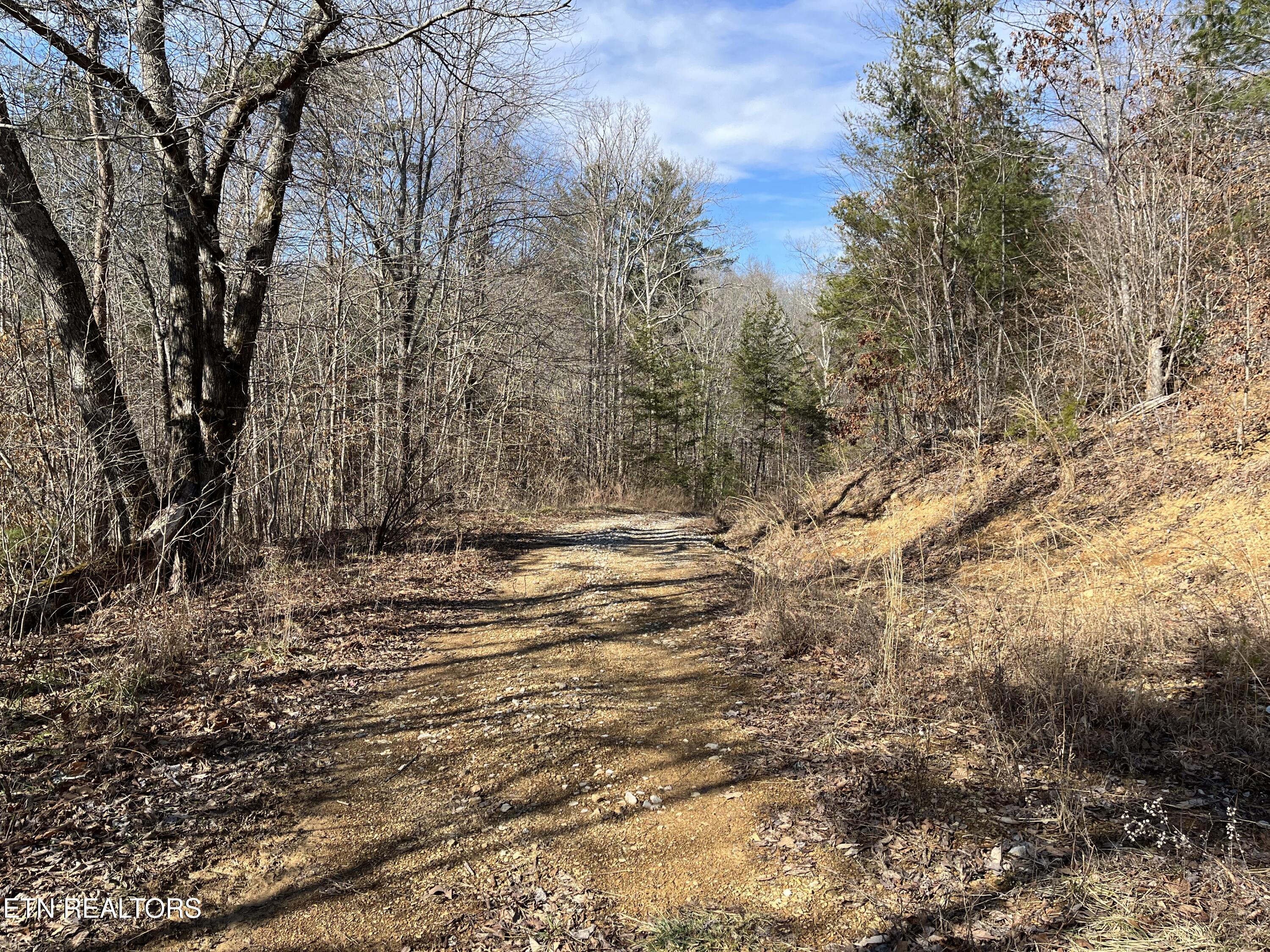 162.45ac Mill Creek Rd Property Photo 14