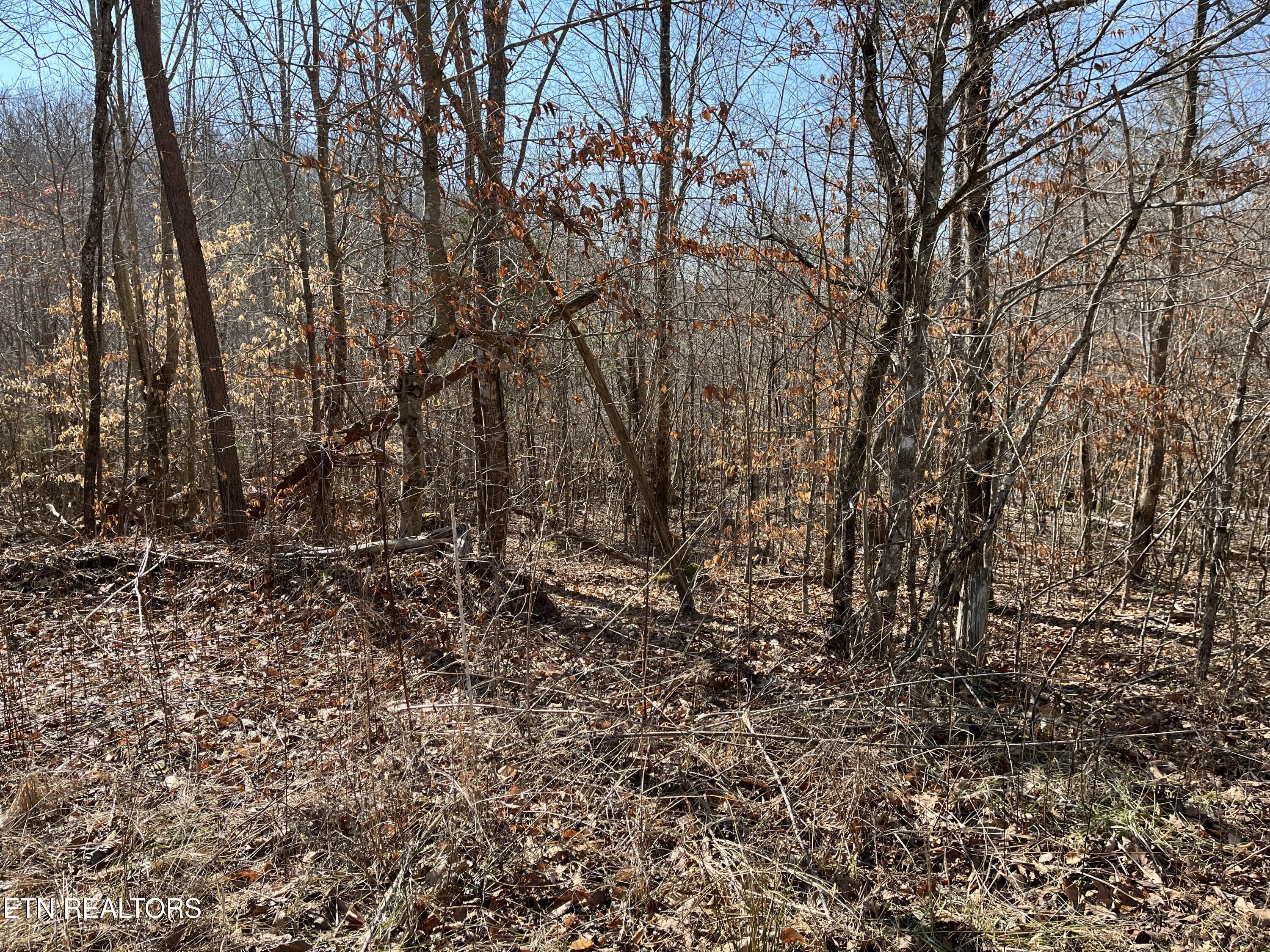 162.45ac Mill Creek Rd Property Photo 15