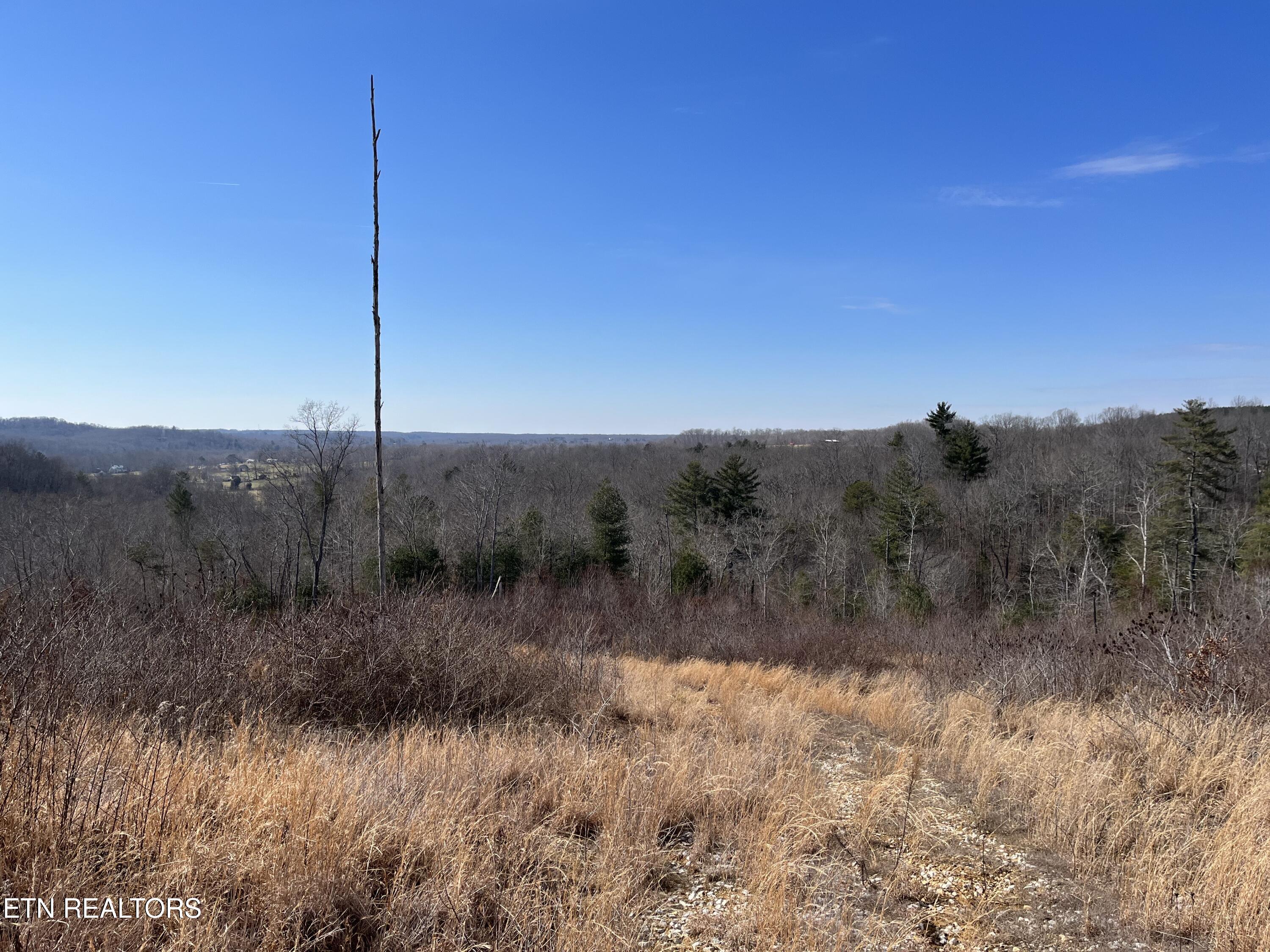 162.45ac Mill Creek Rd Property Photo 16