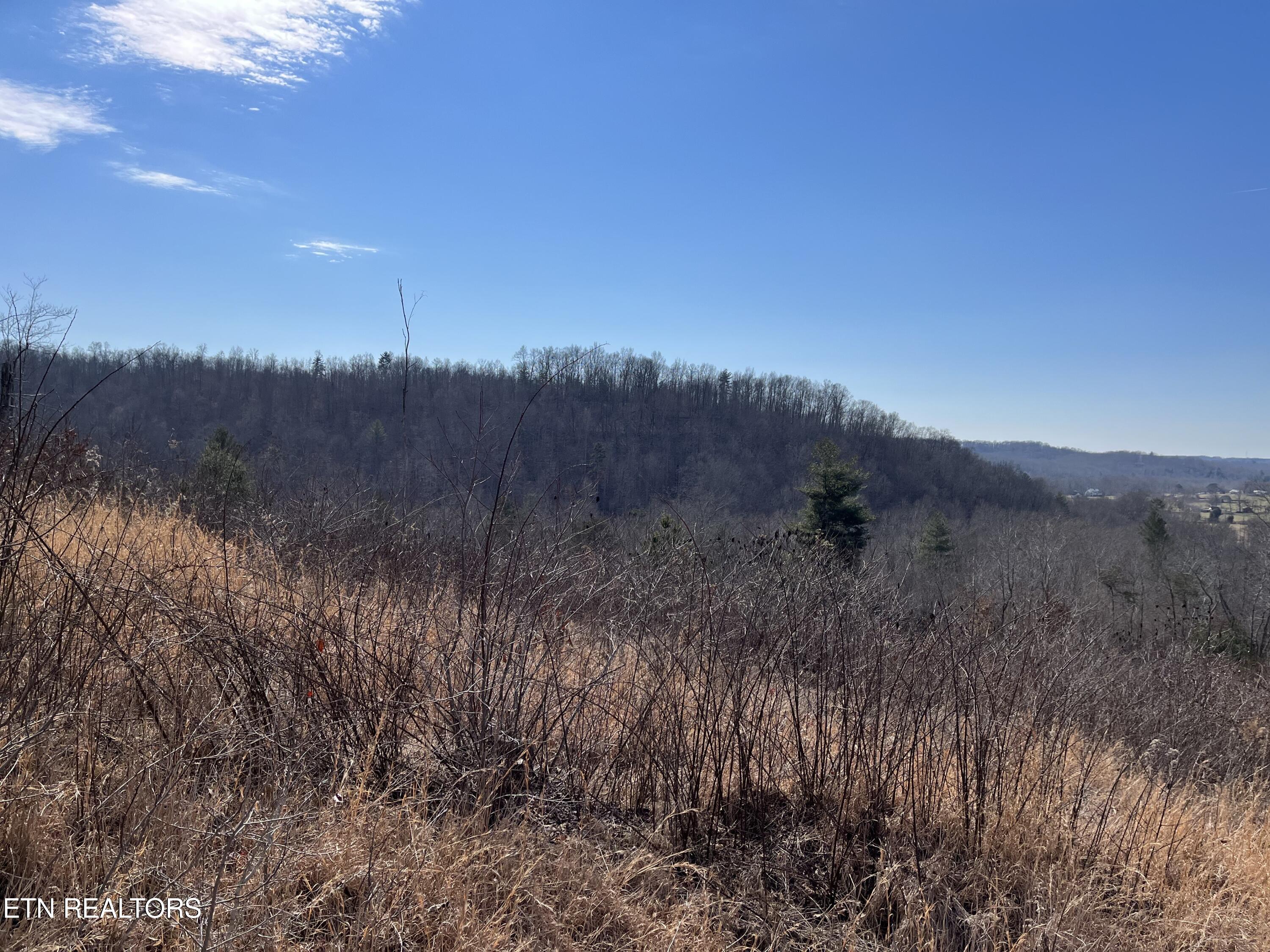 162.45ac Mill Creek Rd Property Photo 17