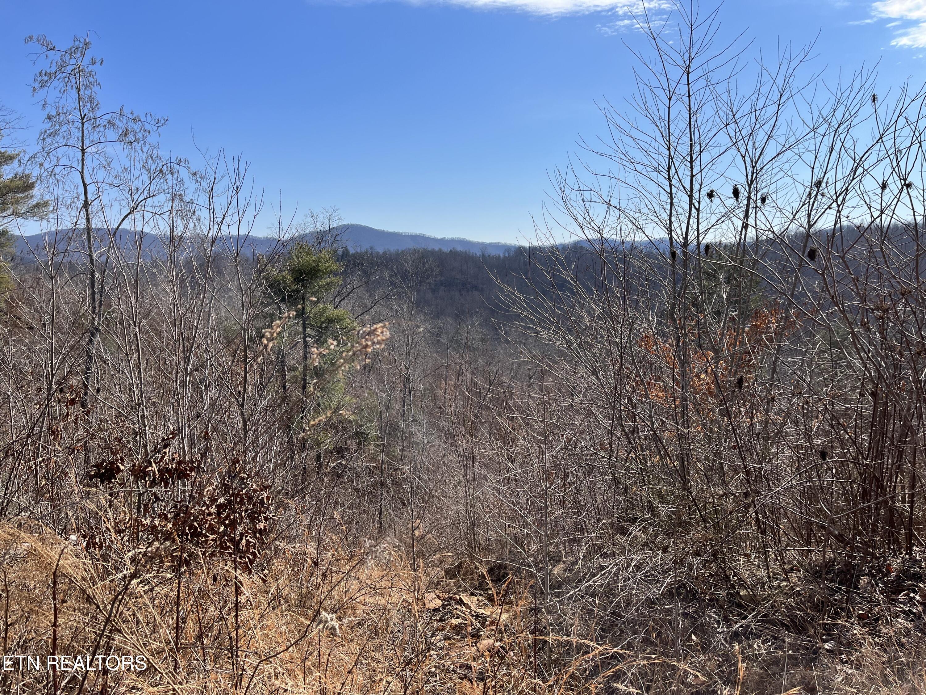162.45ac Mill Creek Rd Property Photo 19