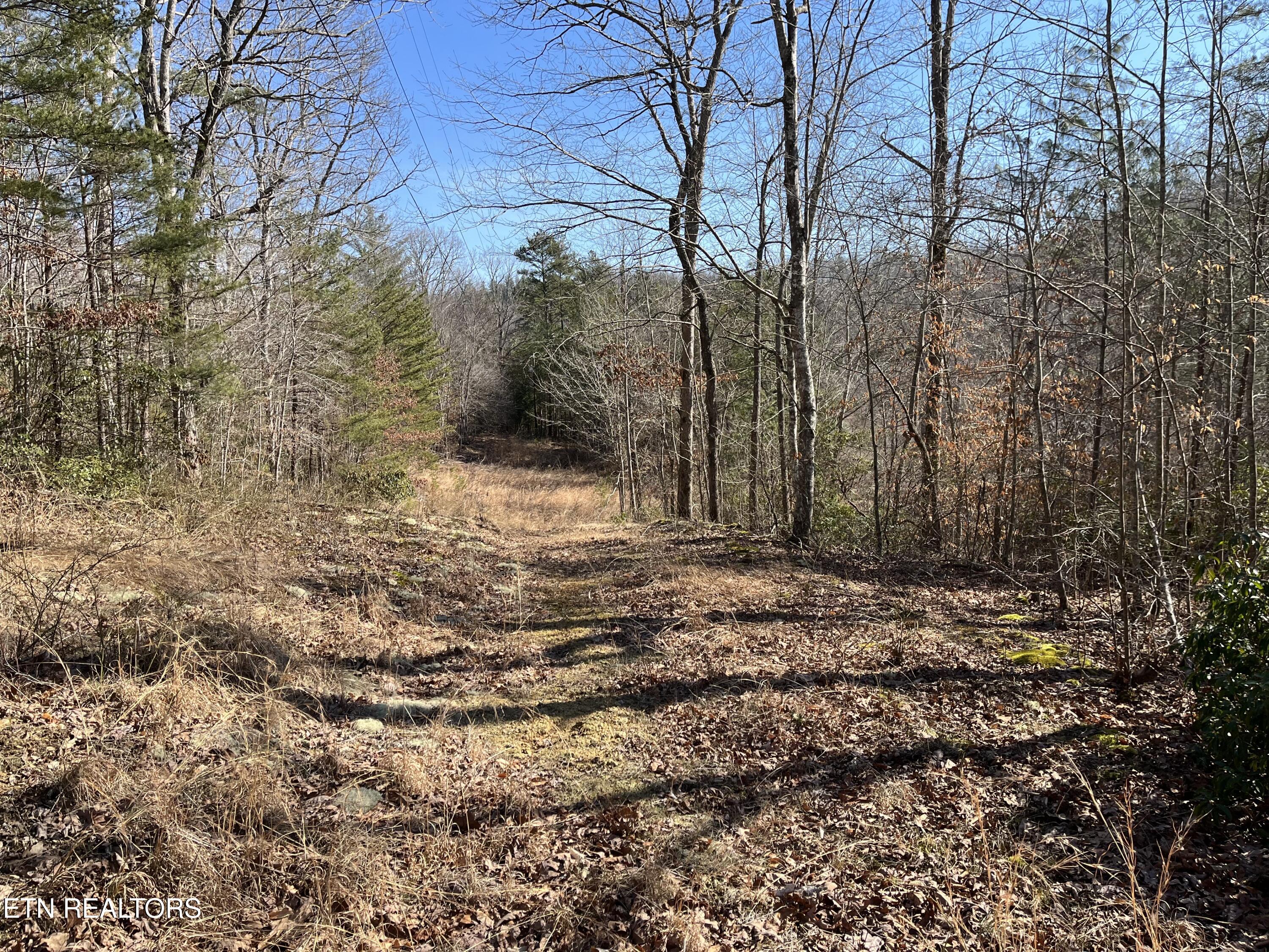 162.45ac Mill Creek Rd Property Photo 20