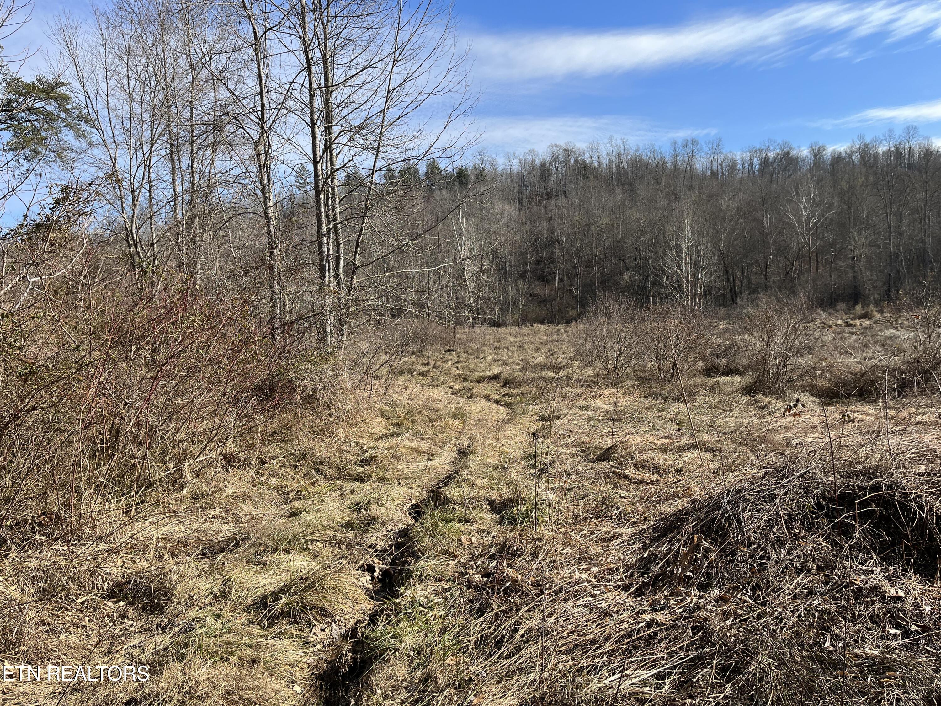 162.45ac Mill Creek Rd Property Photo 21
