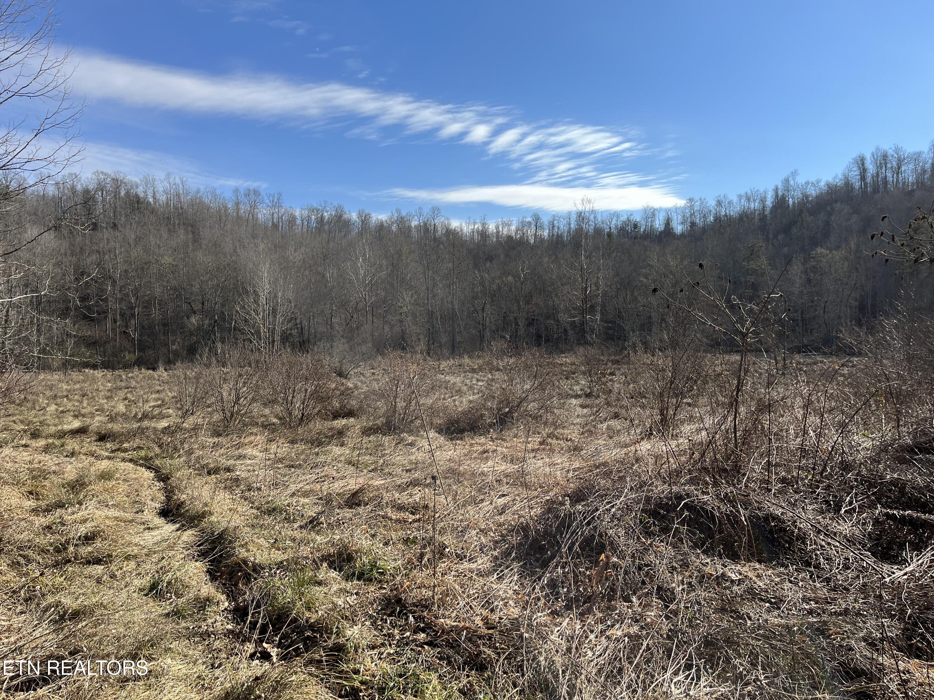 162.45ac Mill Creek Rd Property Photo 22