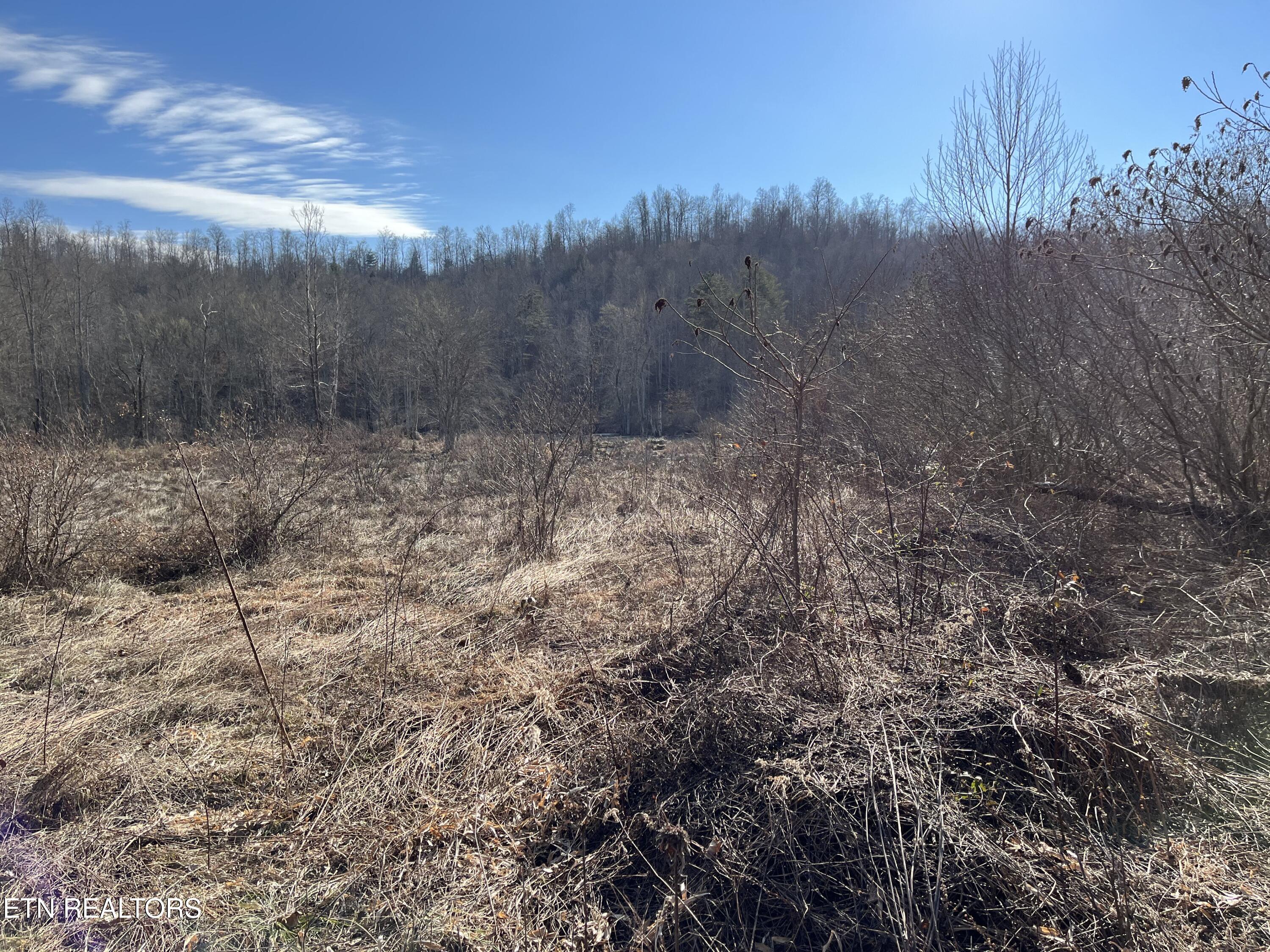 162.45ac Mill Creek Rd Property Photo 23