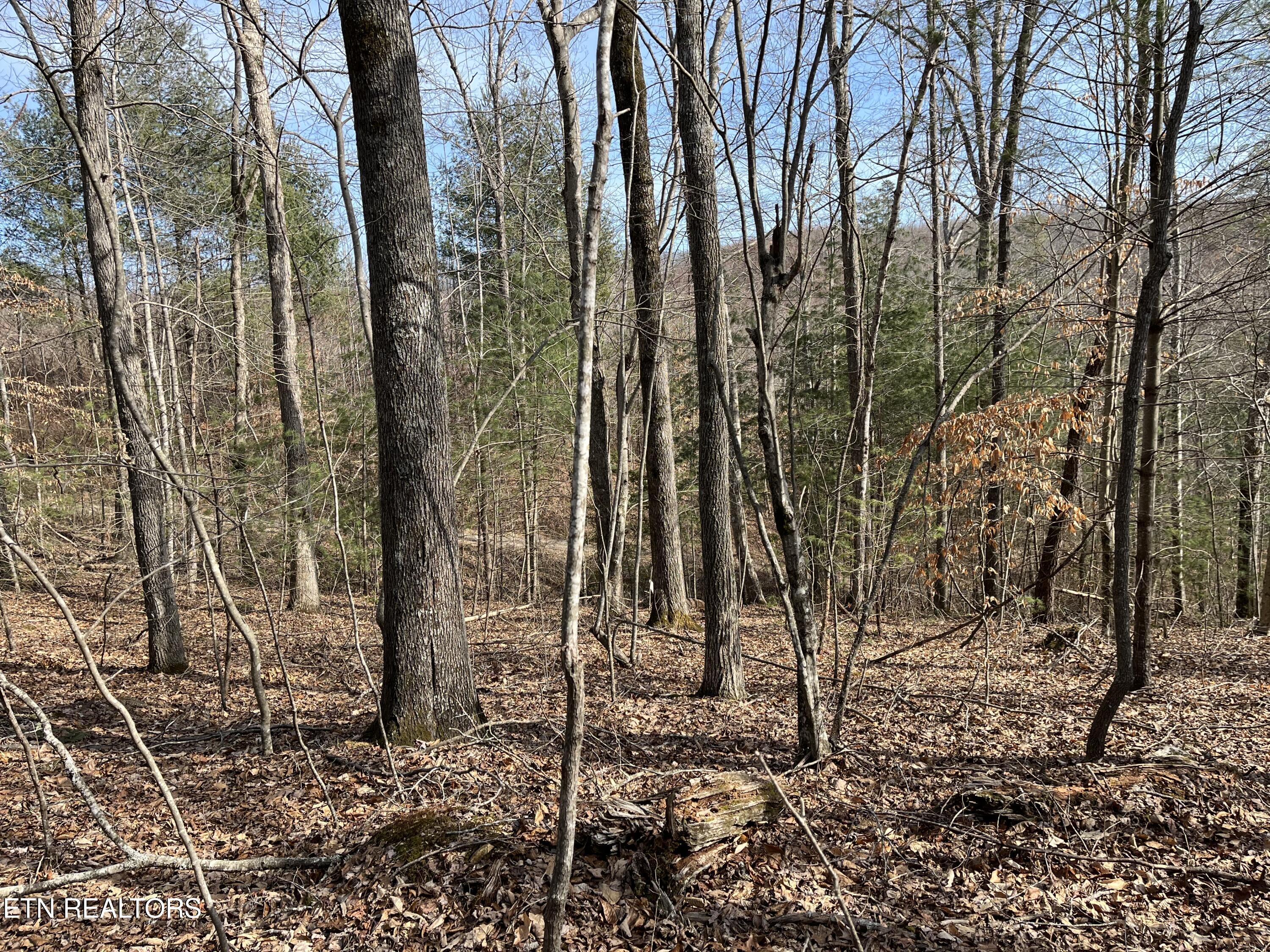 162.45ac Mill Creek Rd Property Photo 25