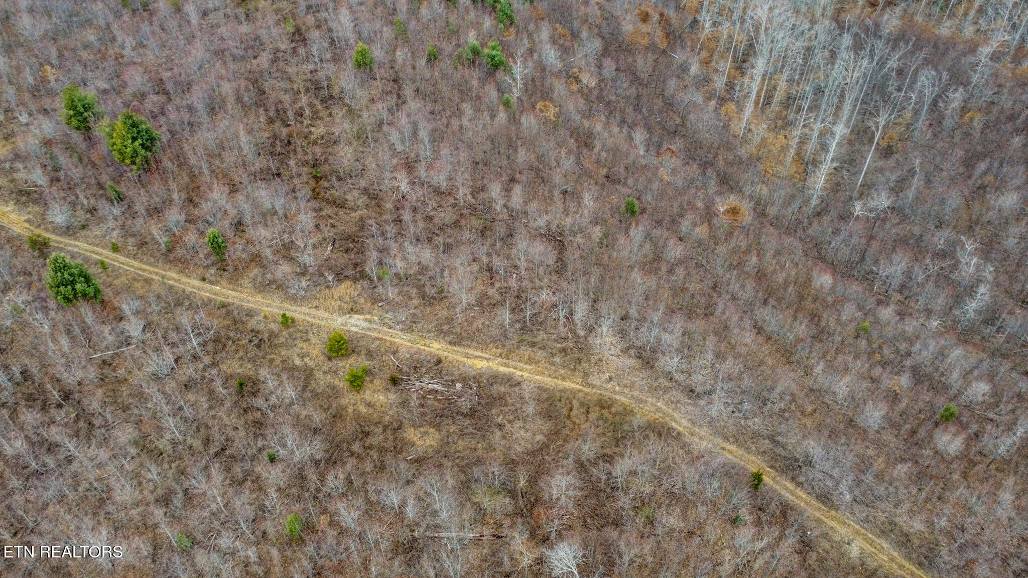162.45ac Mill Creek Rd Property Photo 37