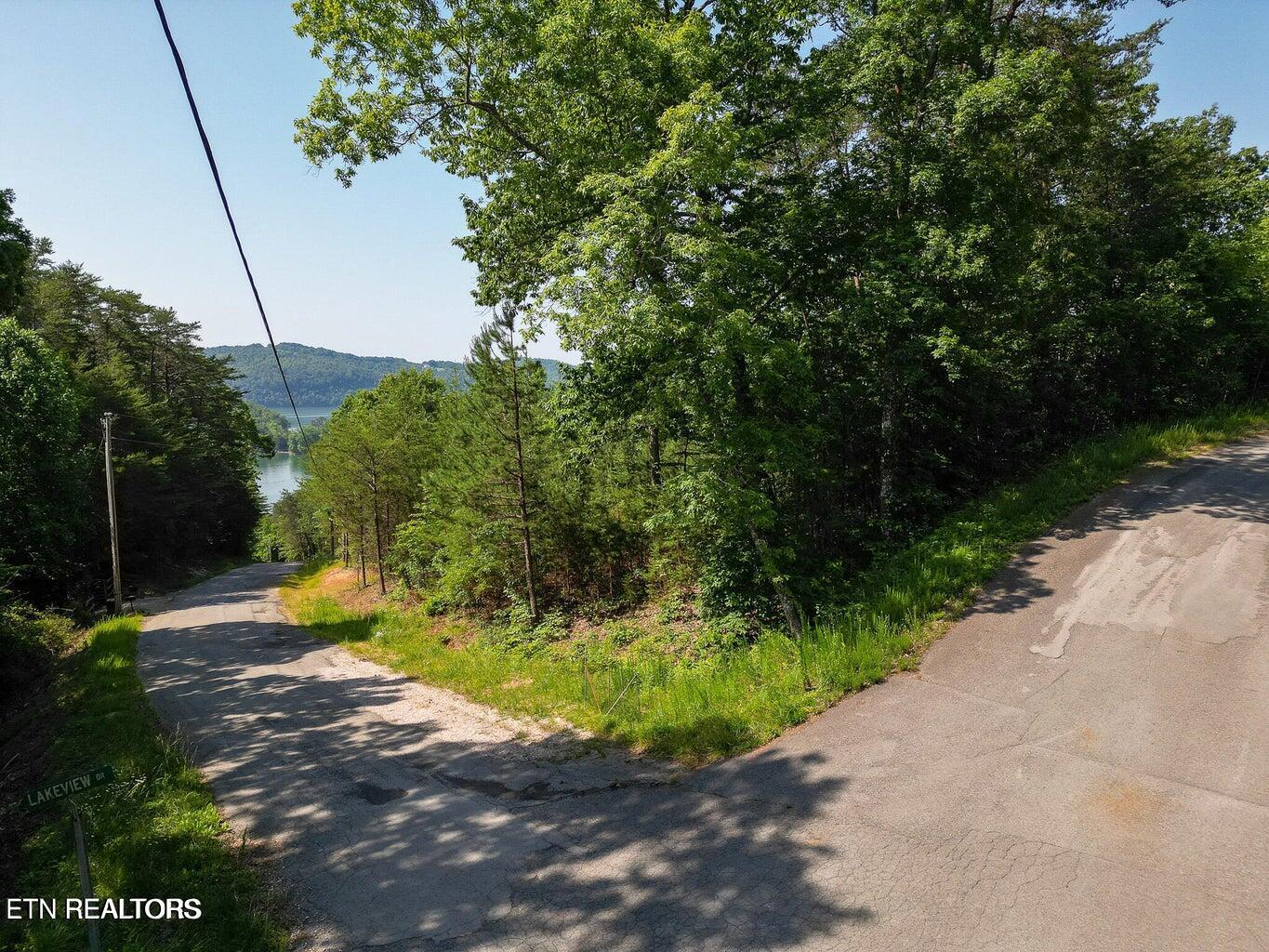 156 Lakeview Drive Property Photo 6