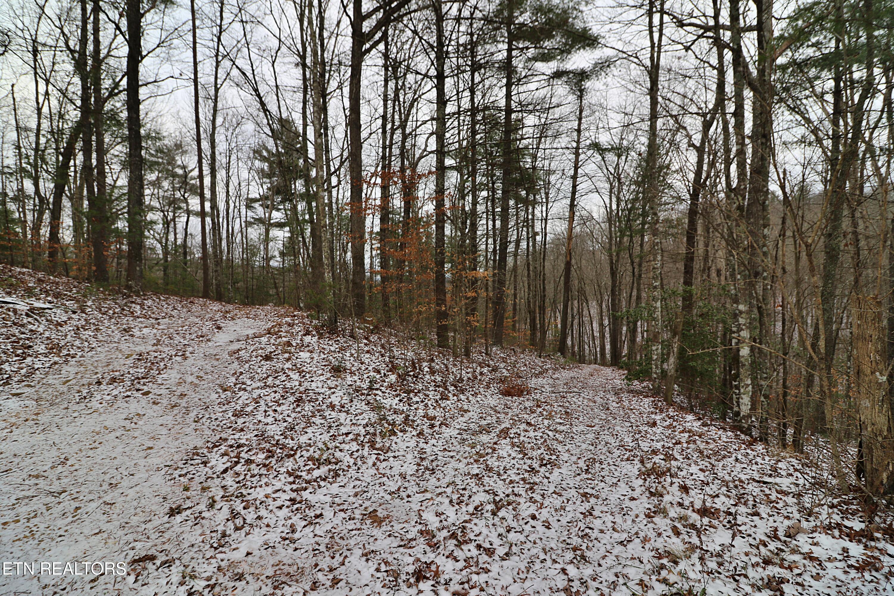 3063 Leatherwood Rd Property Photo 4