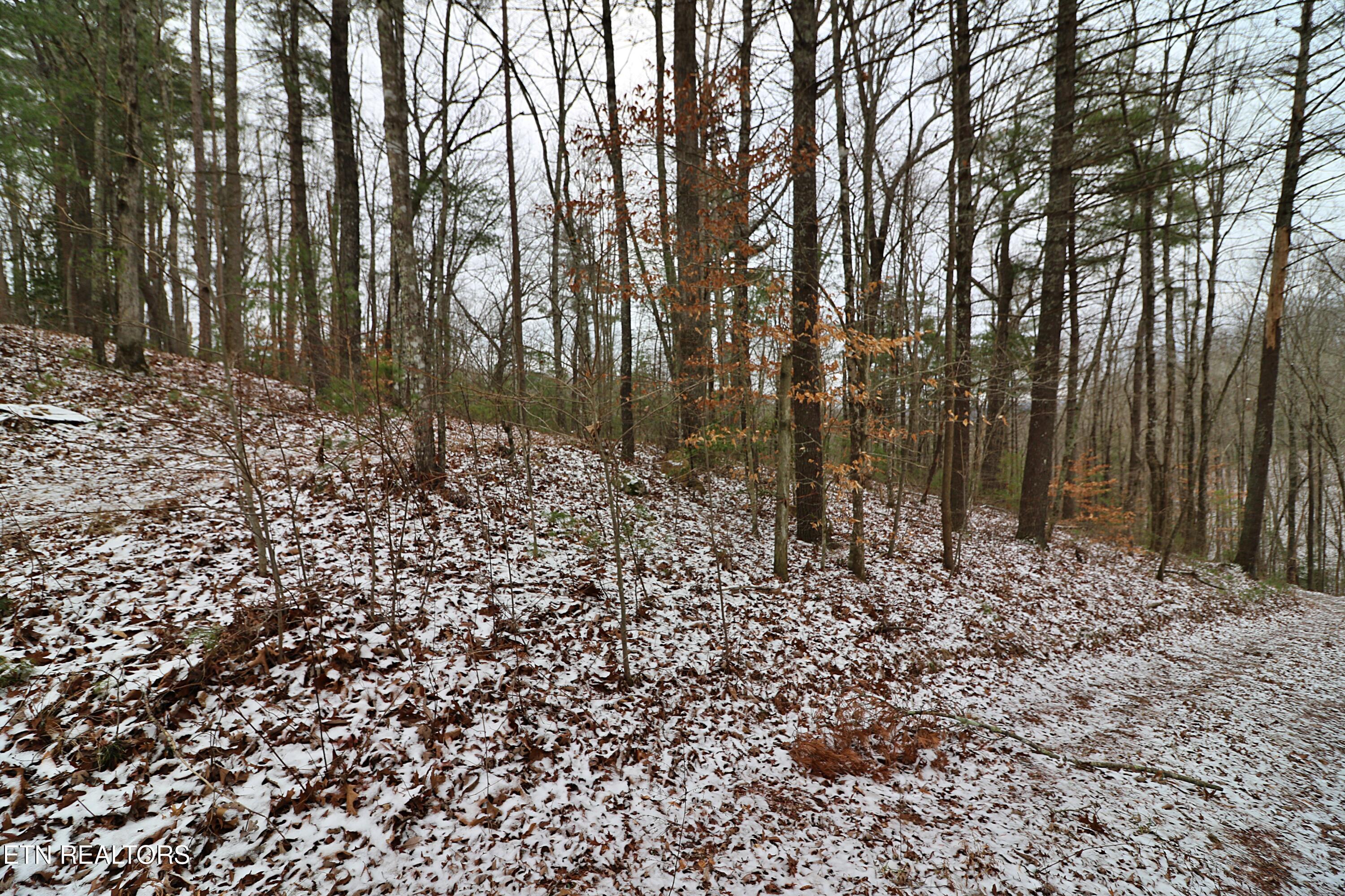3063 Leatherwood Rd Property Photo 5