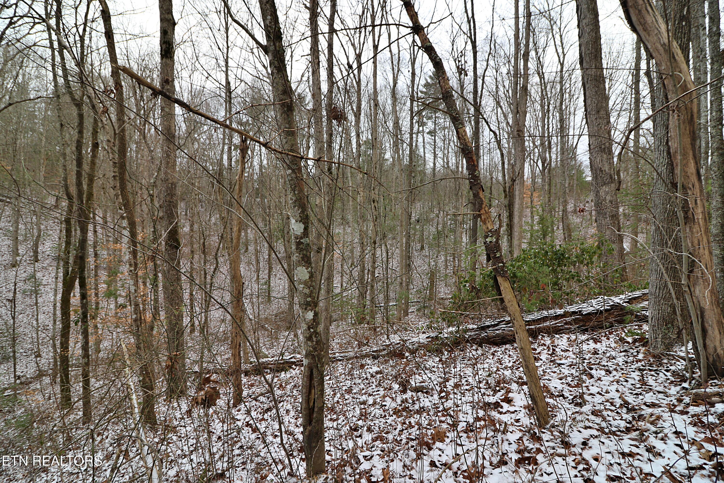 3063 Leatherwood Rd Property Photo 6