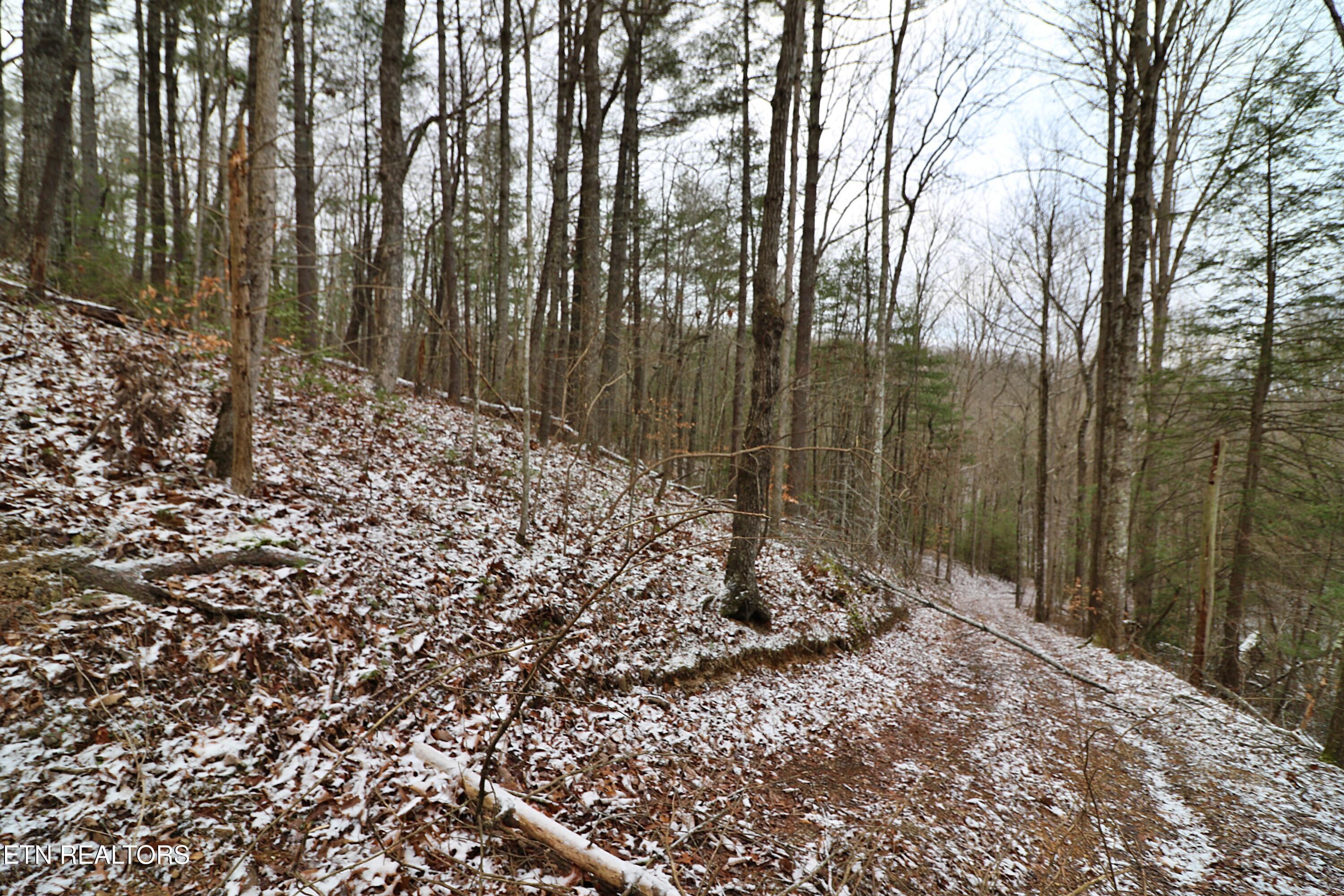 3063 Leatherwood Rd Property Photo 7