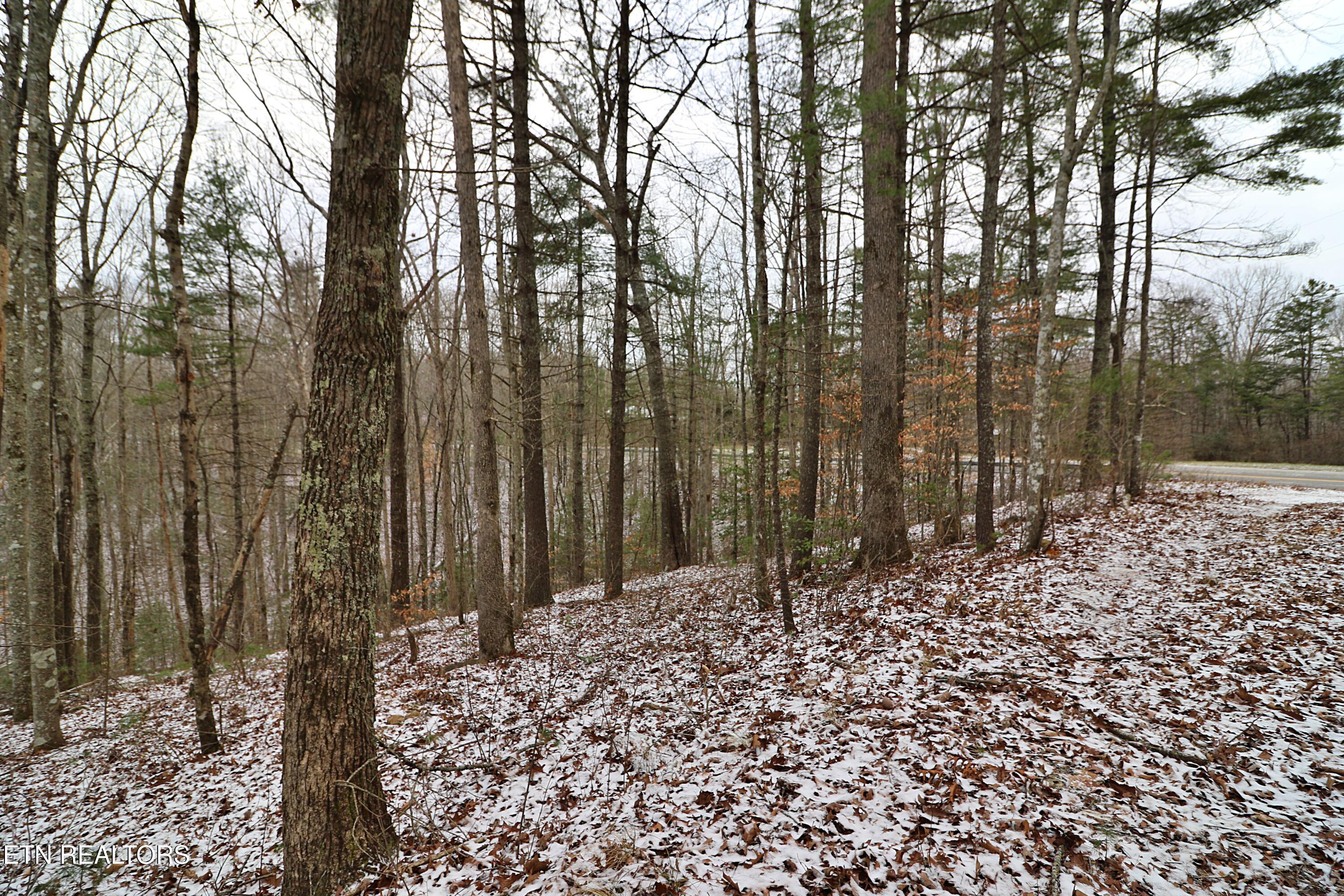 3063 Leatherwood Rd Property Photo 10