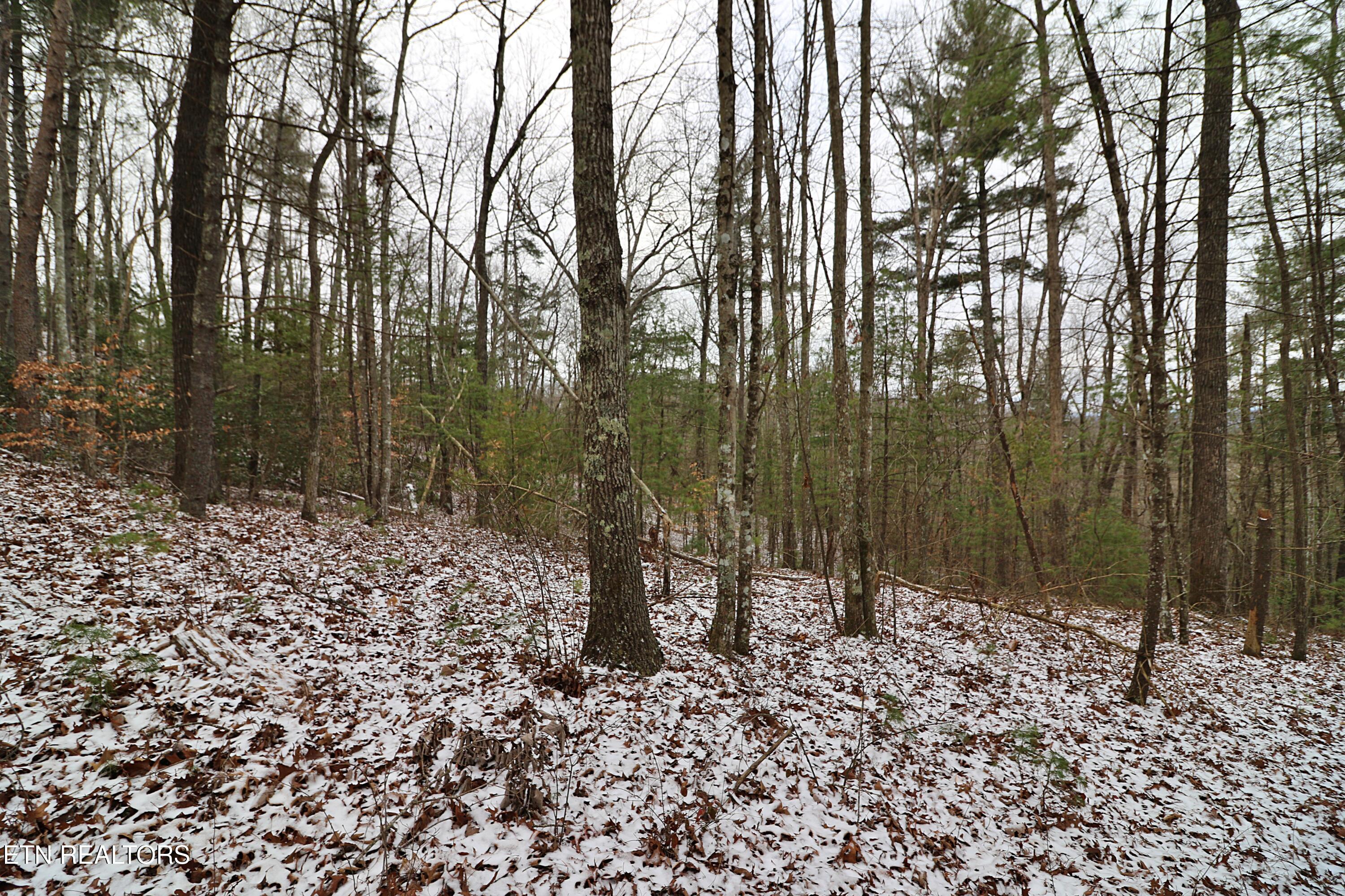 3063 Leatherwood Rd Property Photo 11