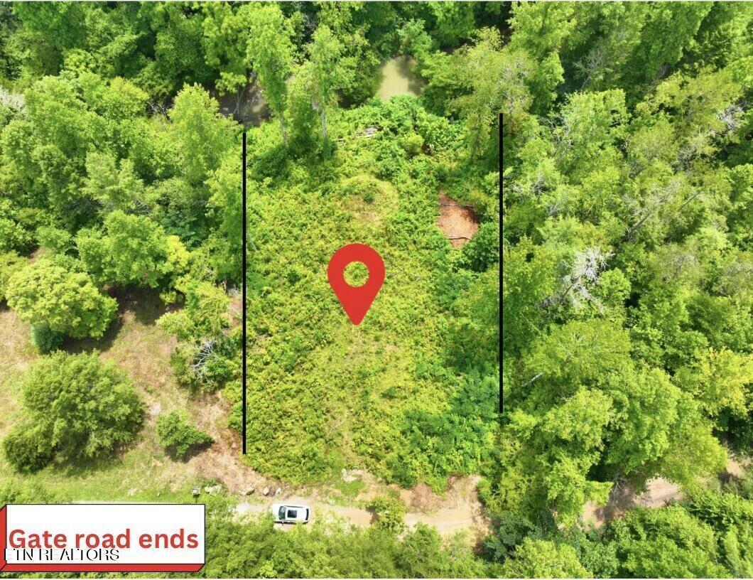Creek Hollow Way Property Photo 2