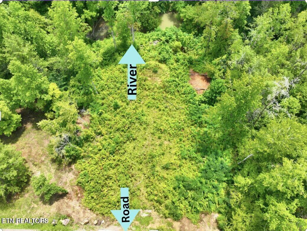 Creek Hollow Way Property Photo 5