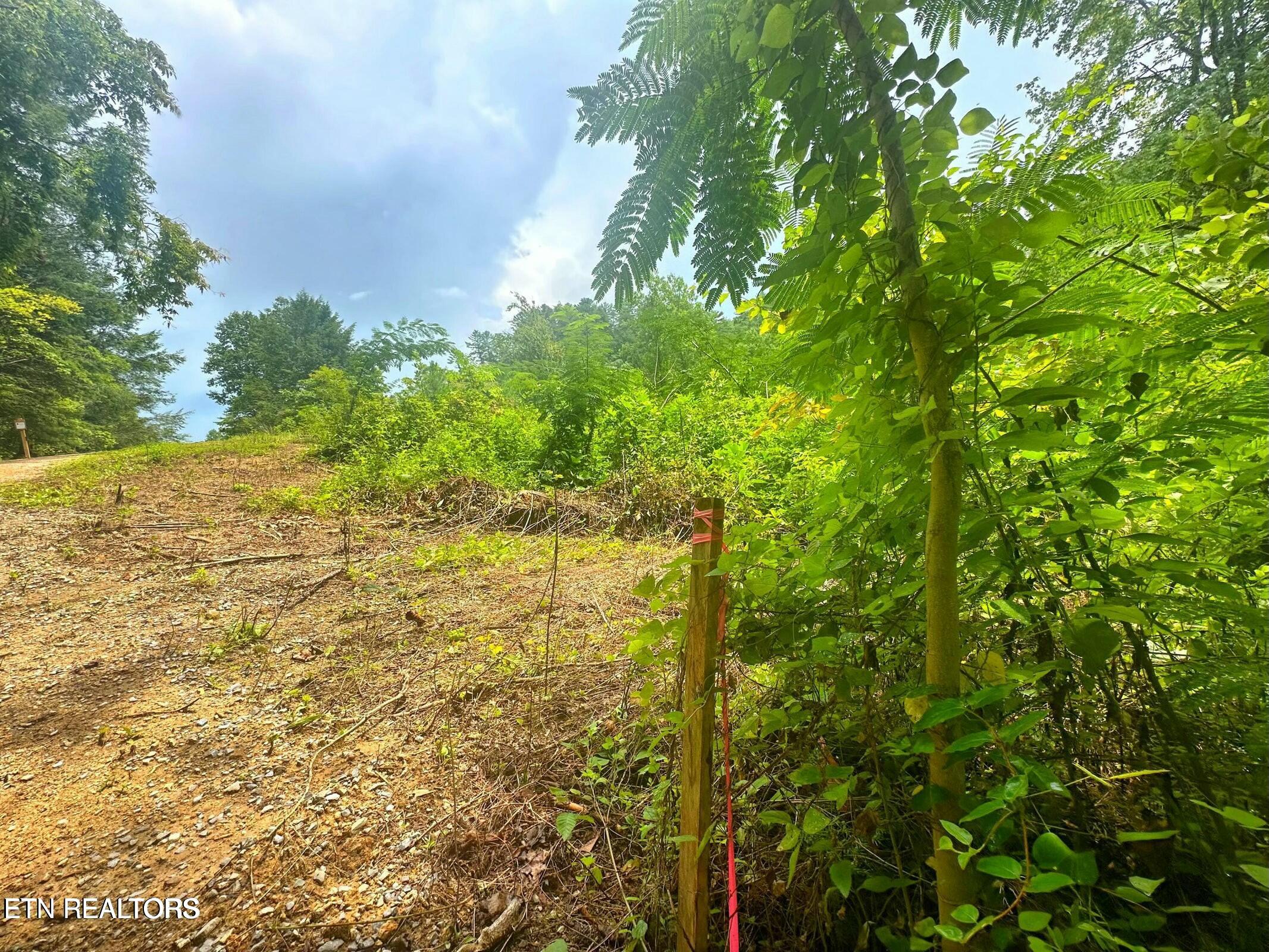 Creek Hollow Way Property Photo 10