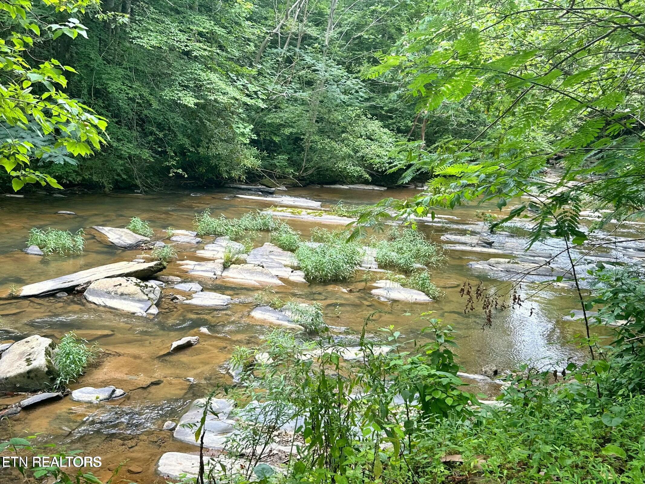 Creek Hollow Way Property Photo 11