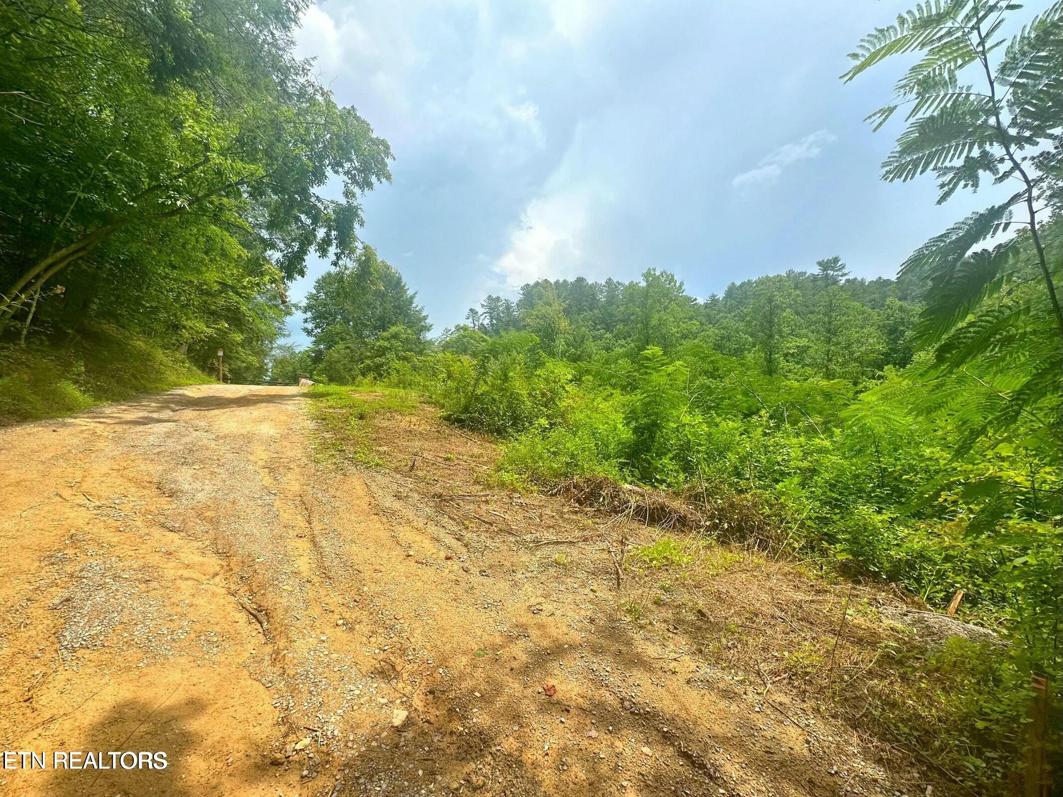 Creek Hollow Way Property Photo 13