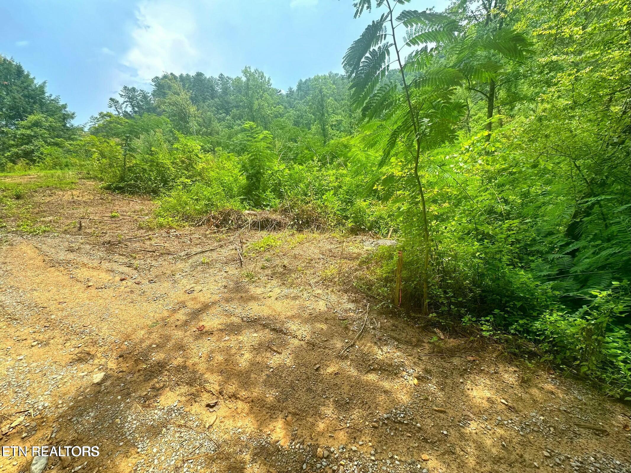 Creek Hollow Way Property Photo 14