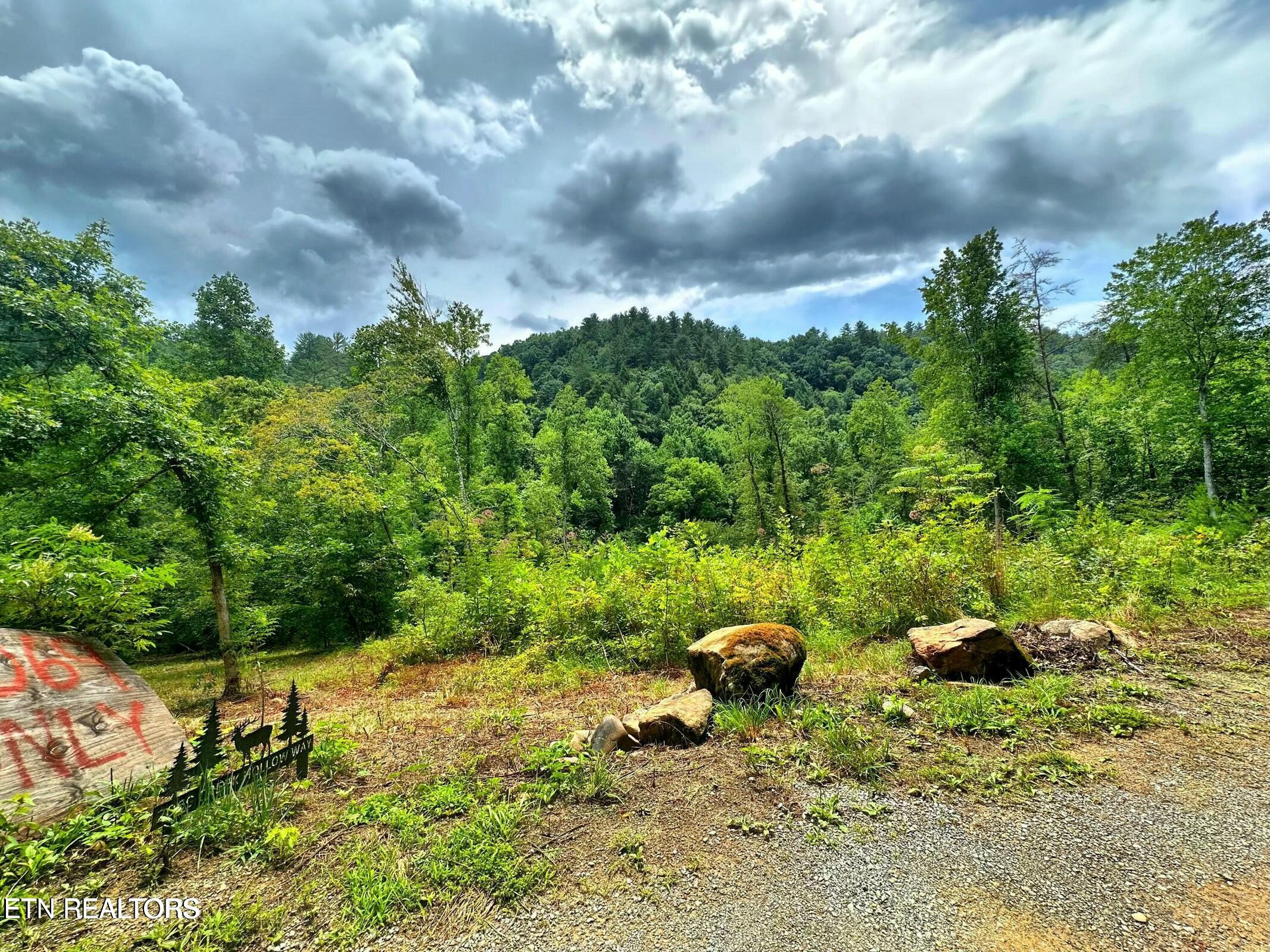 Creek Hollow Way Property Photo 15