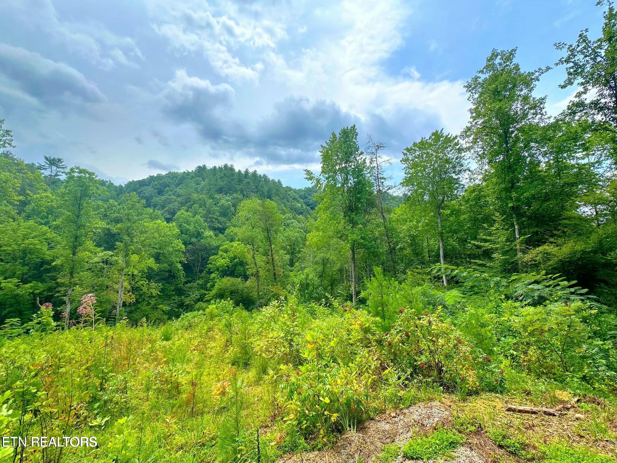 Creek Hollow Way Property Photo 16