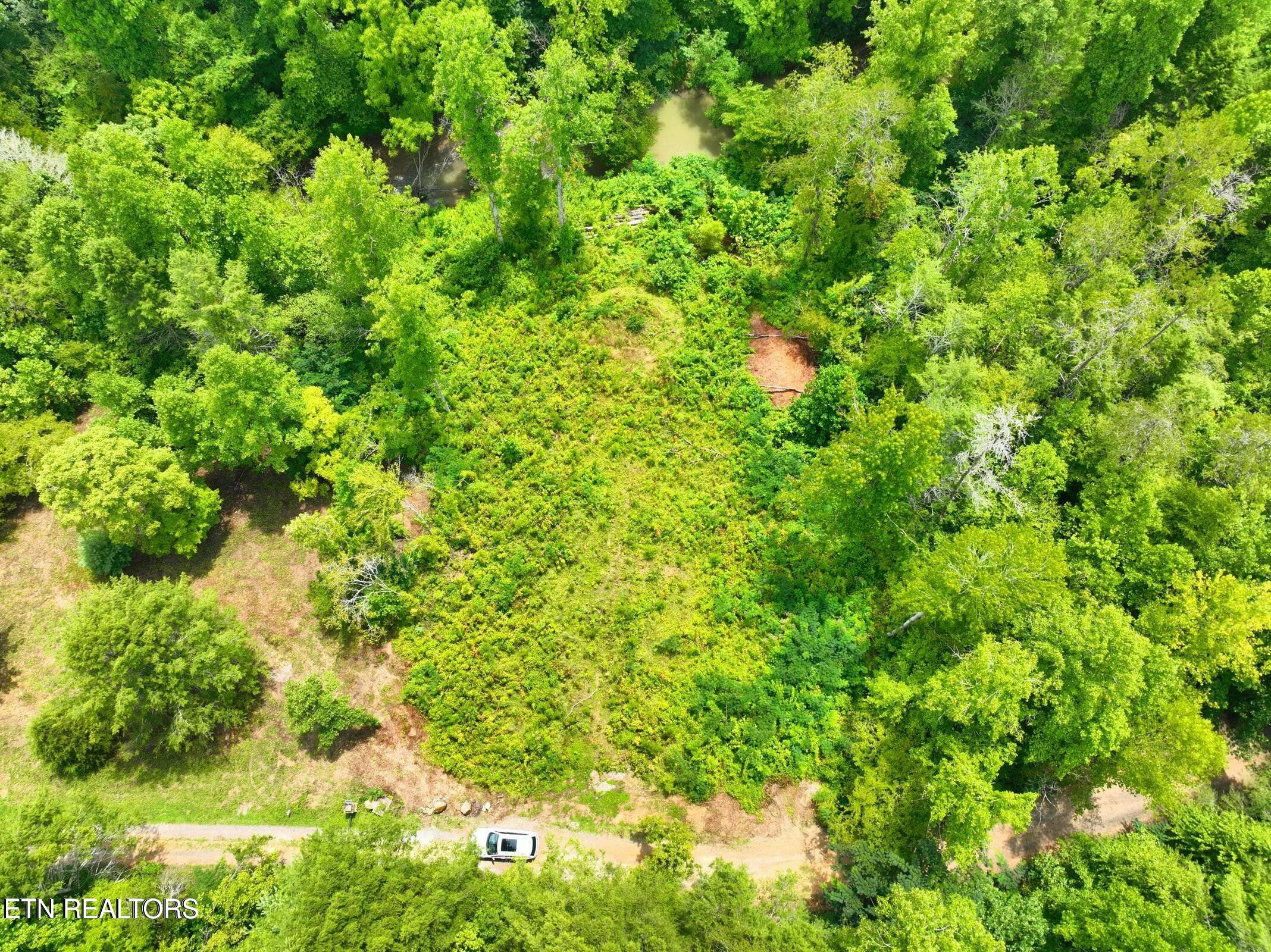 Creek Hollow Way Property Photo 19