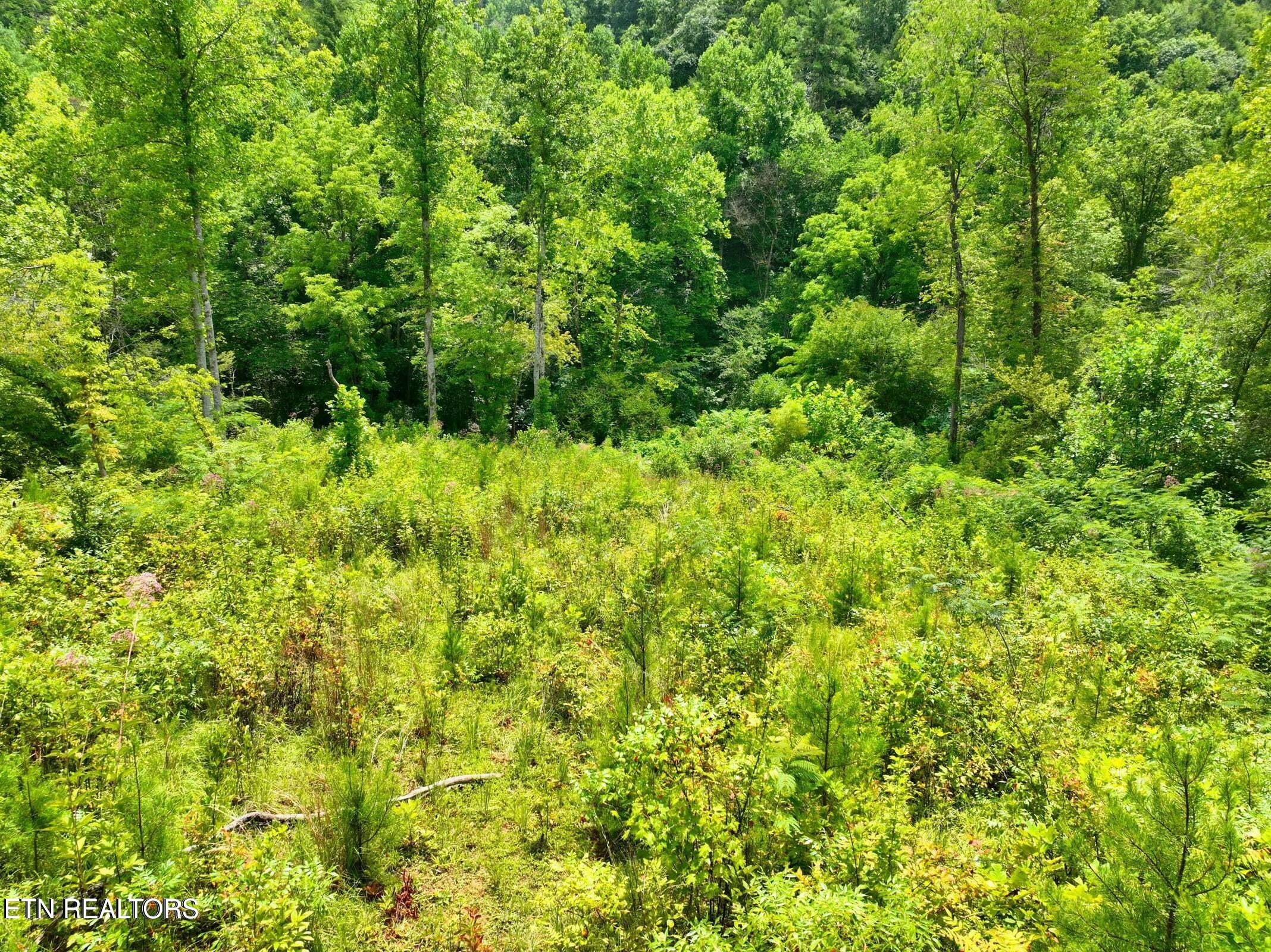 Creek Hollow Way Property Photo 20