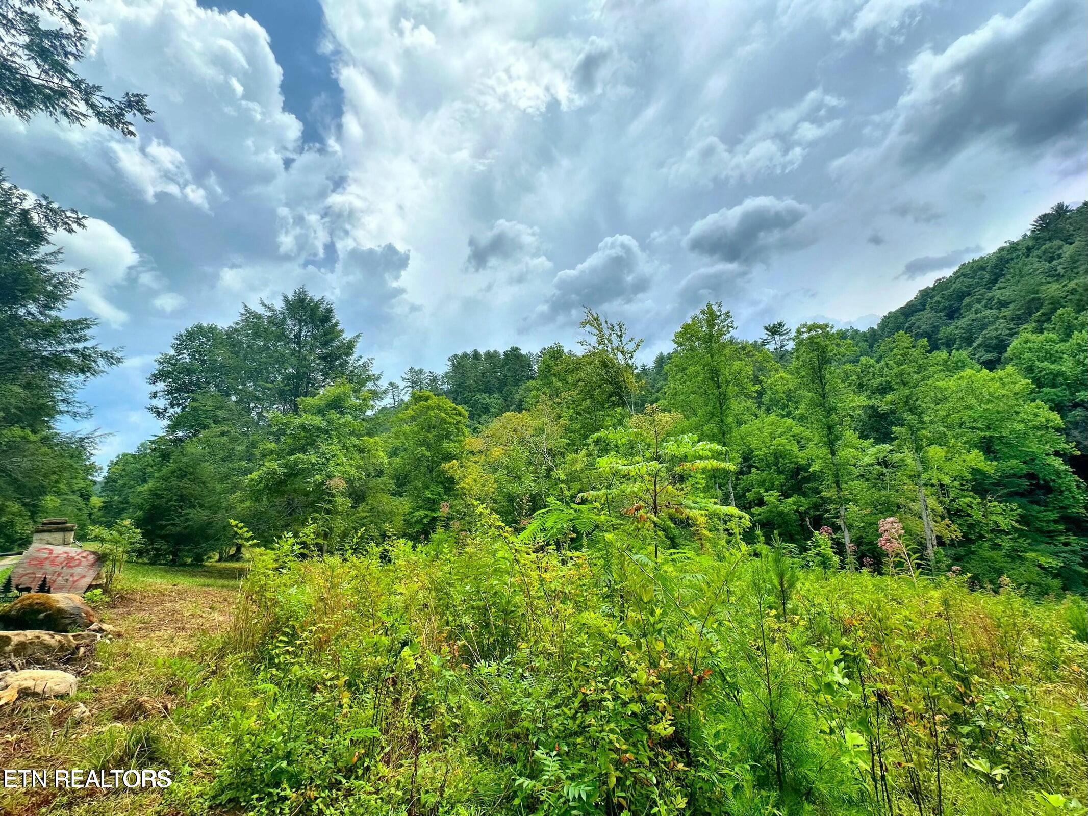 Creek Hollow Way Property Photo 21