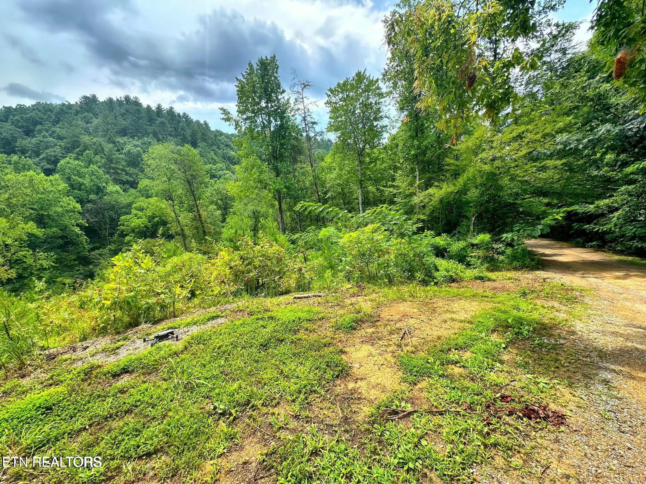 Creek Hollow Way Property Photo 22
