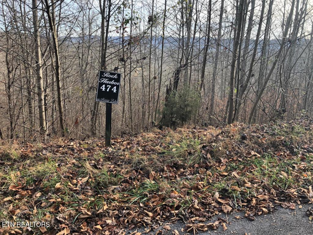 Silver Tr Property Photo