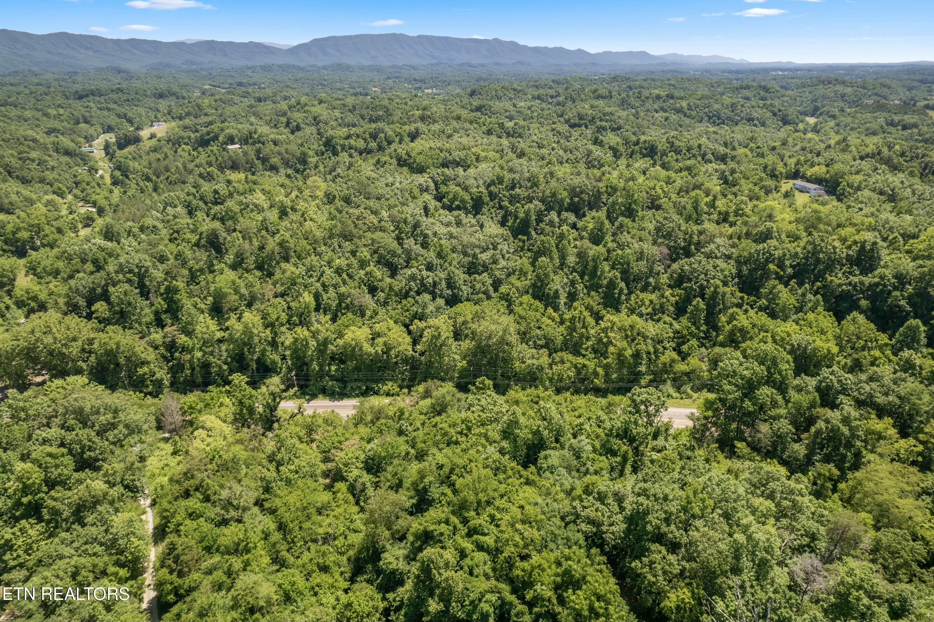 12138 Chapman Highway Property Photo 6