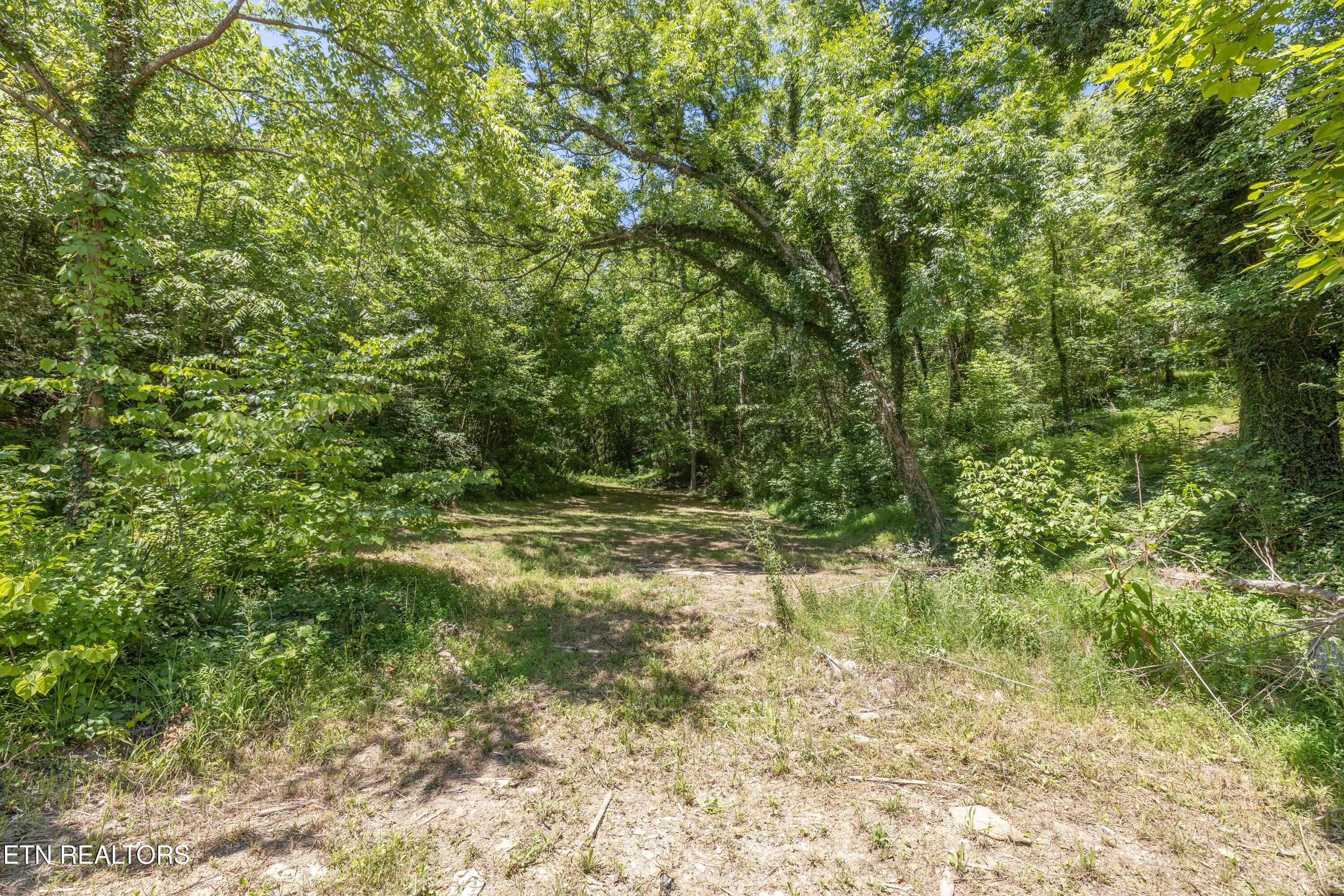 12138 Chapman Highway Property Photo 10