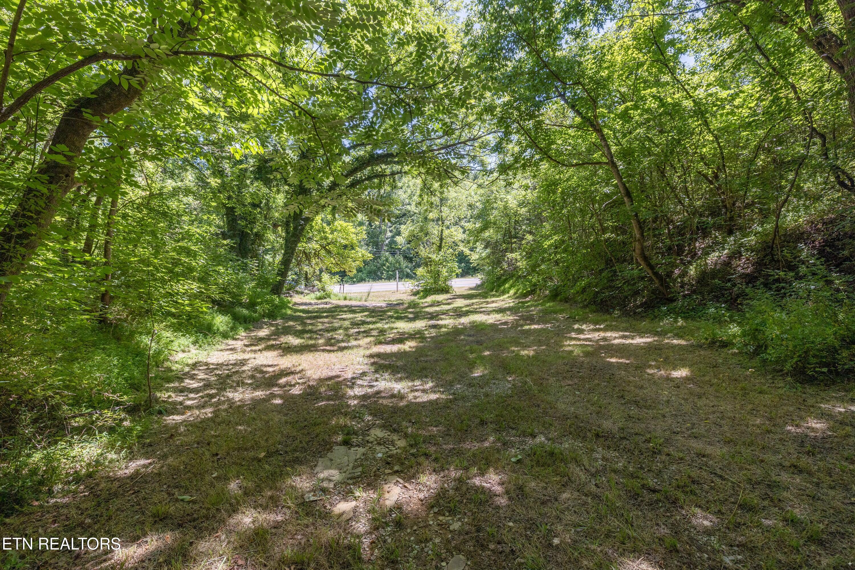 12138 Chapman Highway Property Photo 12