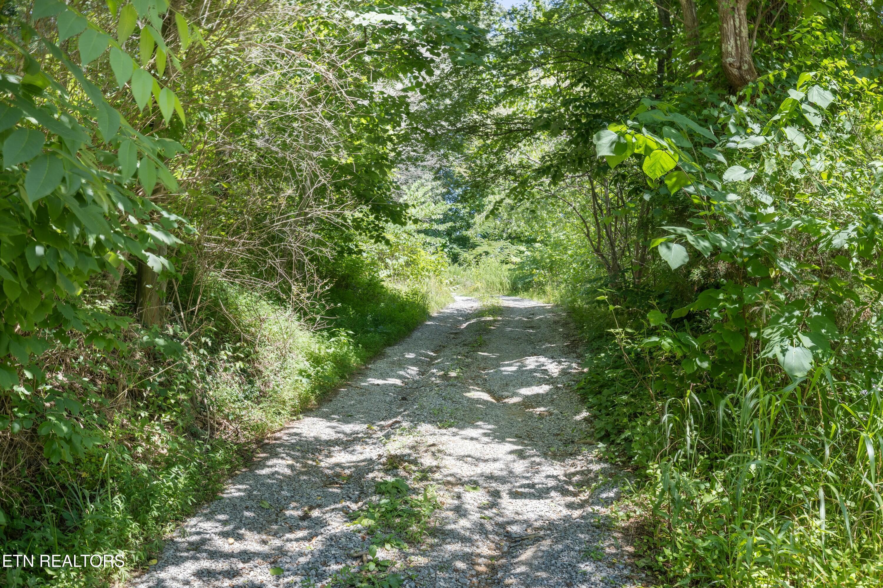 12138 Chapman Highway Property Photo 13