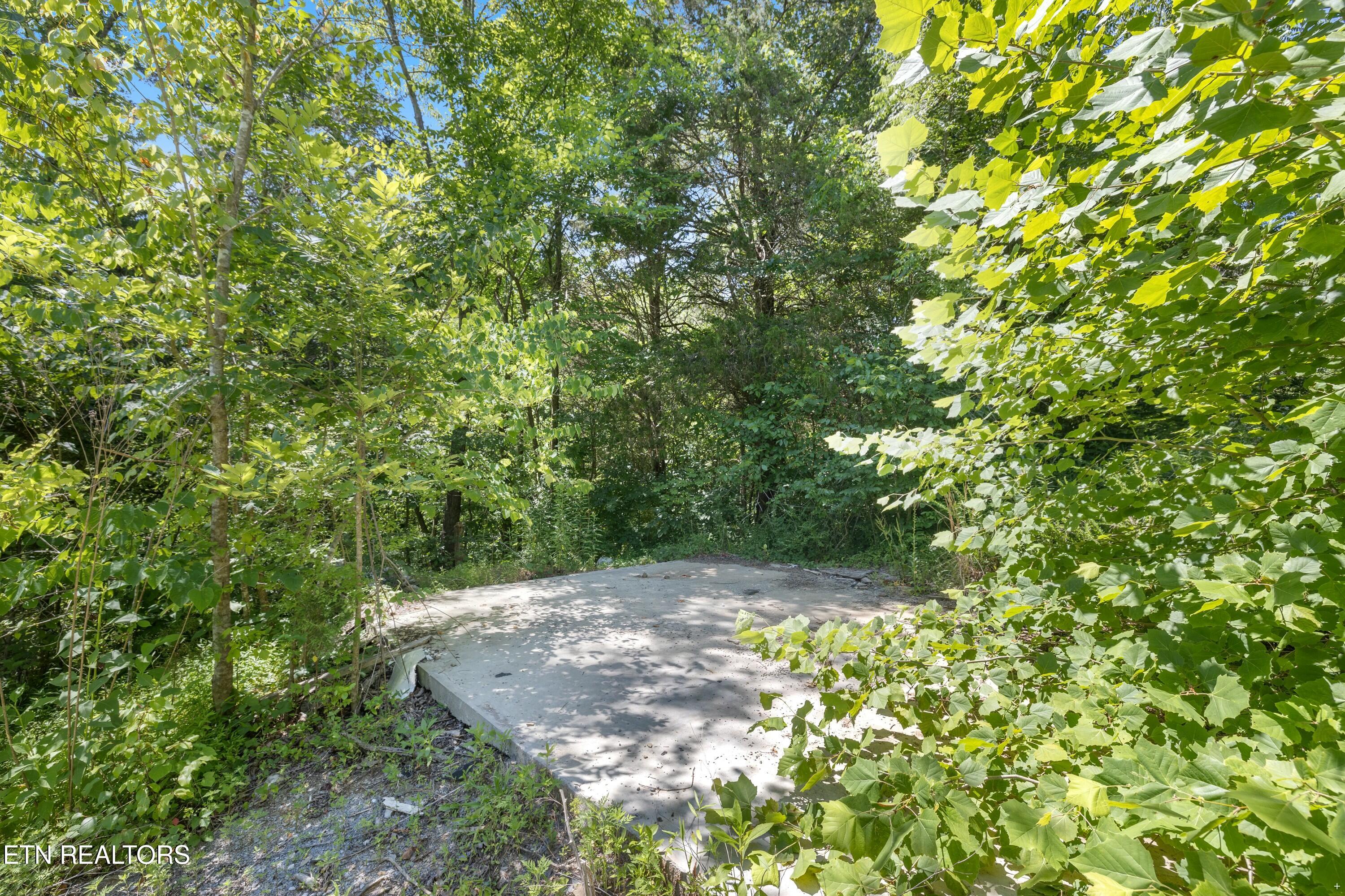 12138 Chapman Highway Property Photo 14