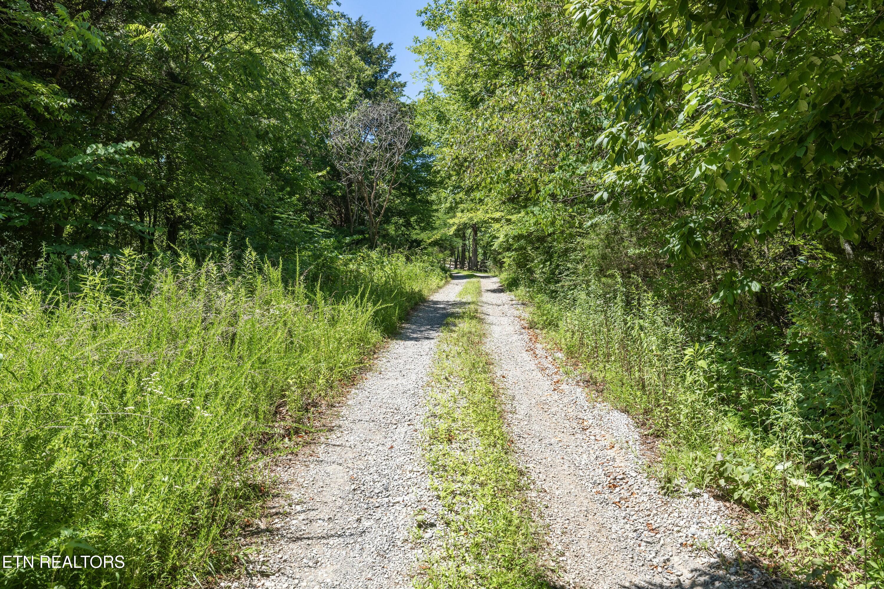 12138 Chapman Highway Property Photo 15