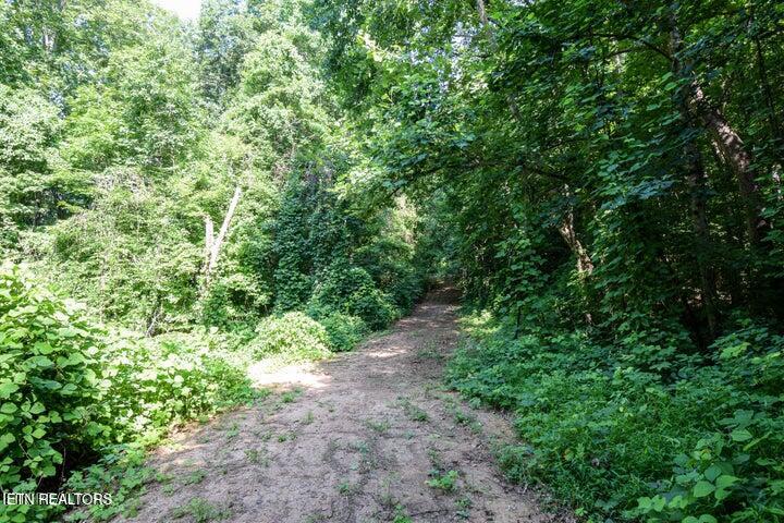 0 Mountie Lane Property Photo