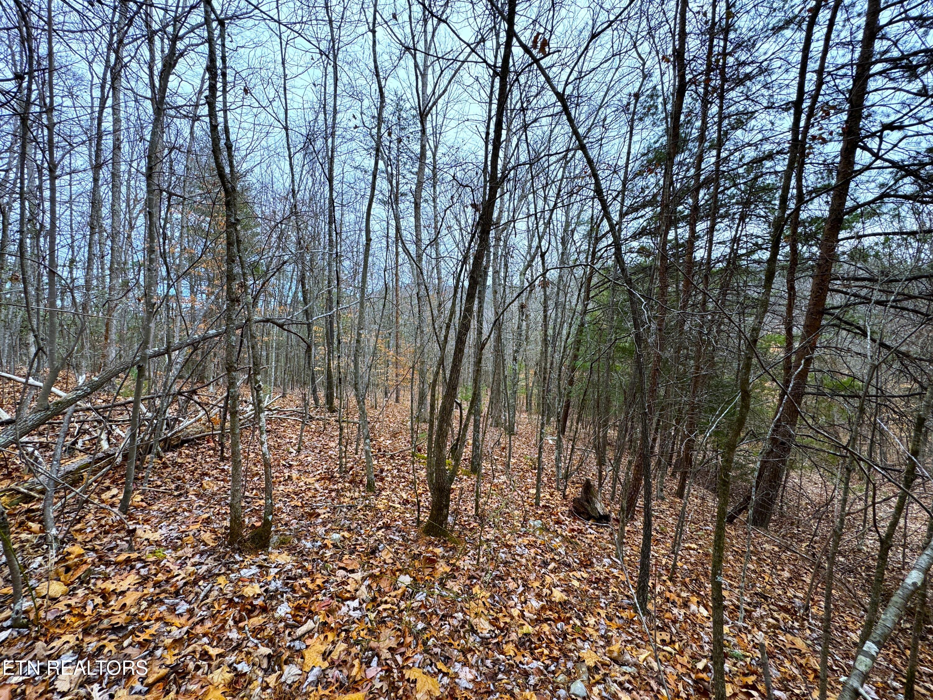 1138 Mayflower Lane Property Photo 2