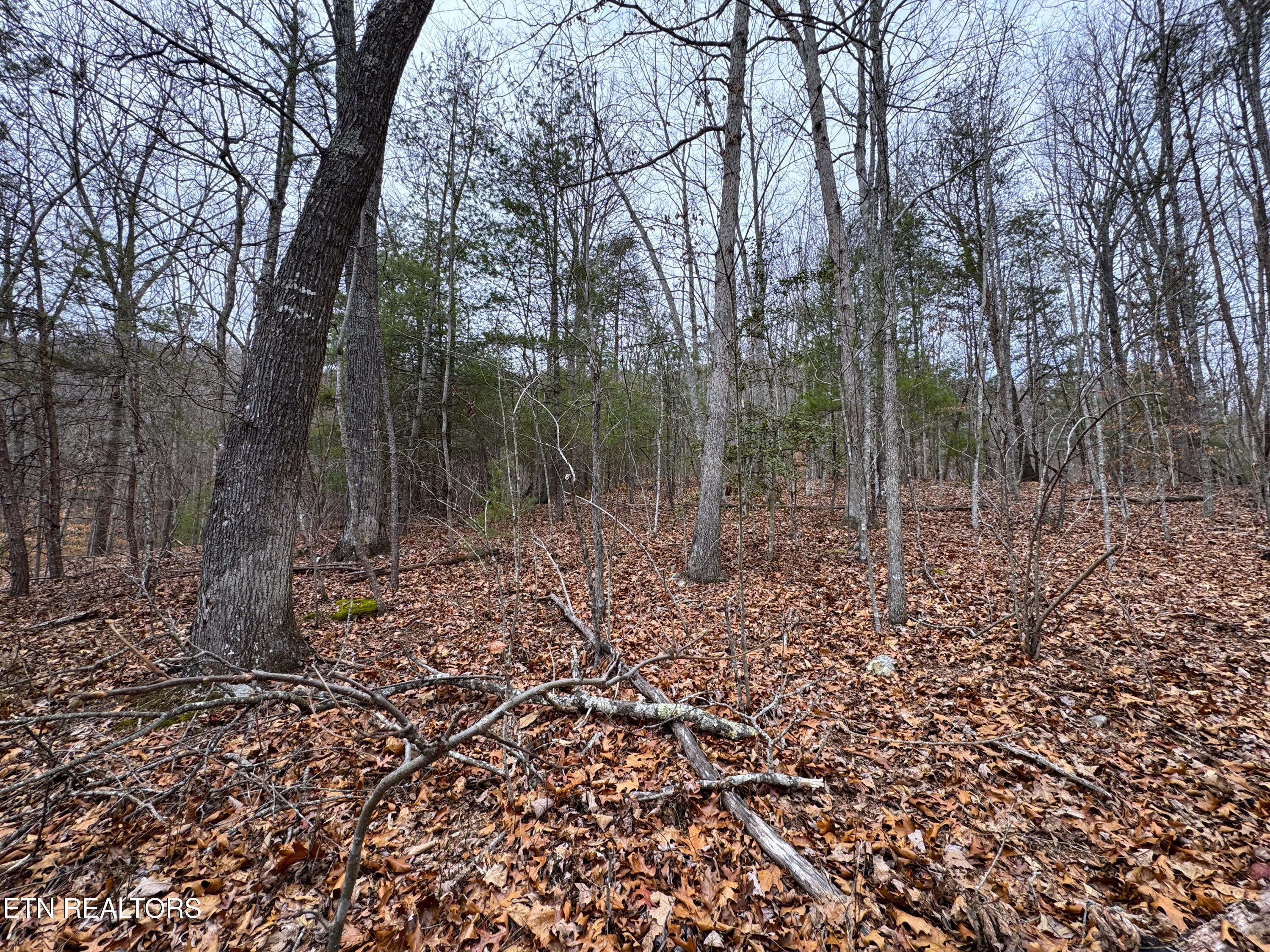 1138 Mayflower Lane Property Photo 6