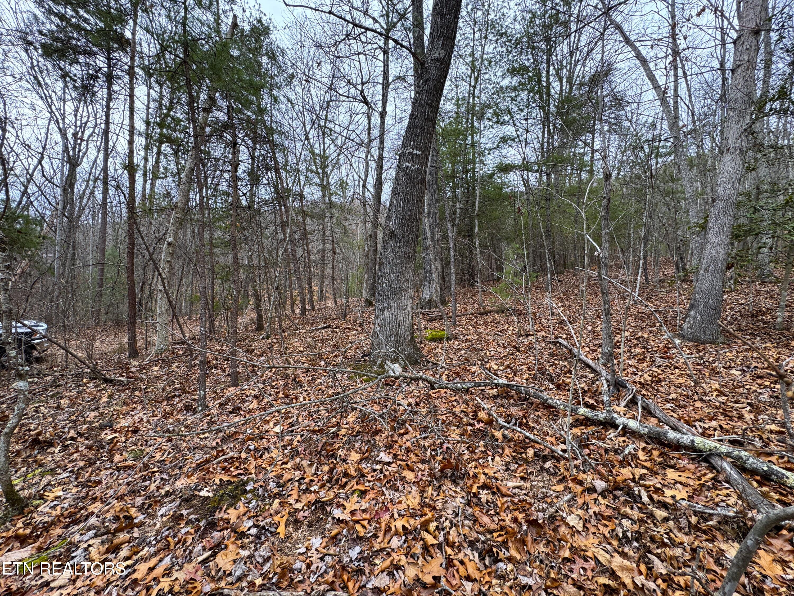1138 Mayflower Lane Property Photo 7