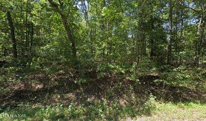 9042 Mineola Tr Property Photo 1