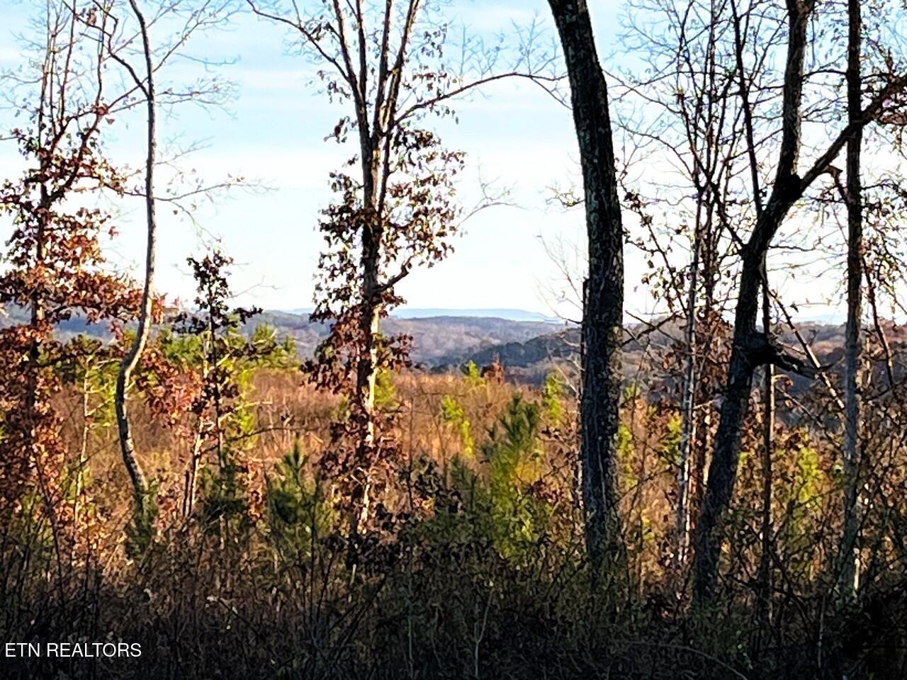 16.75 Ac Euchee Road Property Photo 1