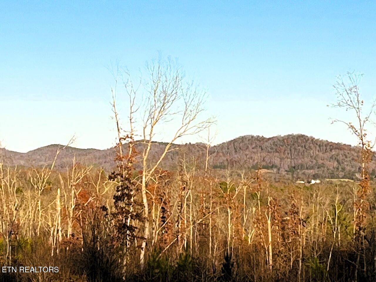 16.75 Ac Euchee Road Property Photo 4