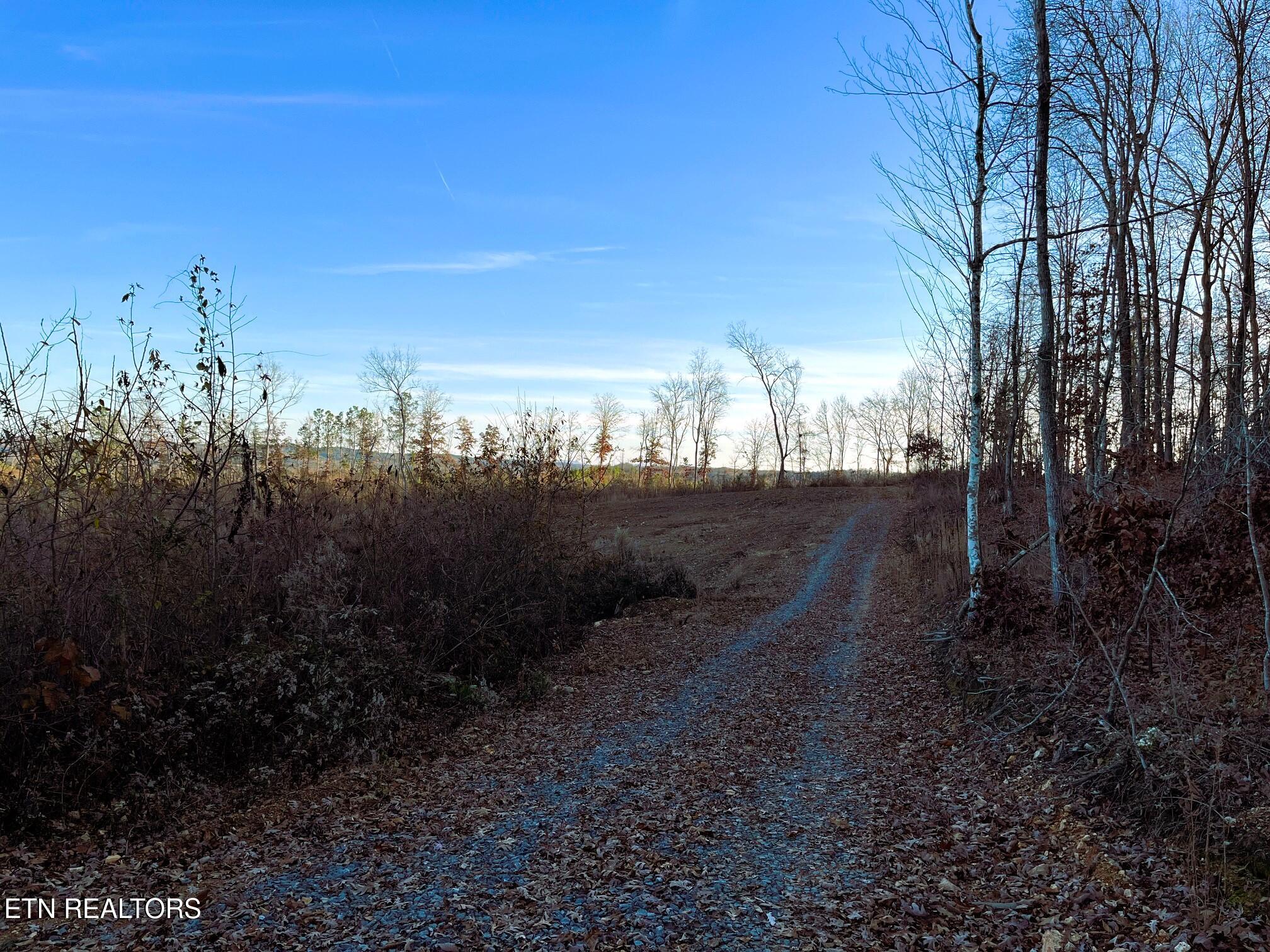 16.75 Ac Euchee Road Property Photo 5