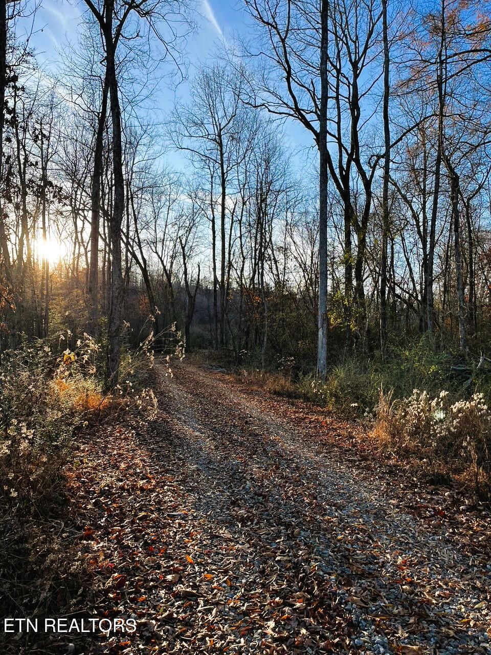 16.75 Ac Euchee Road Property Photo 6