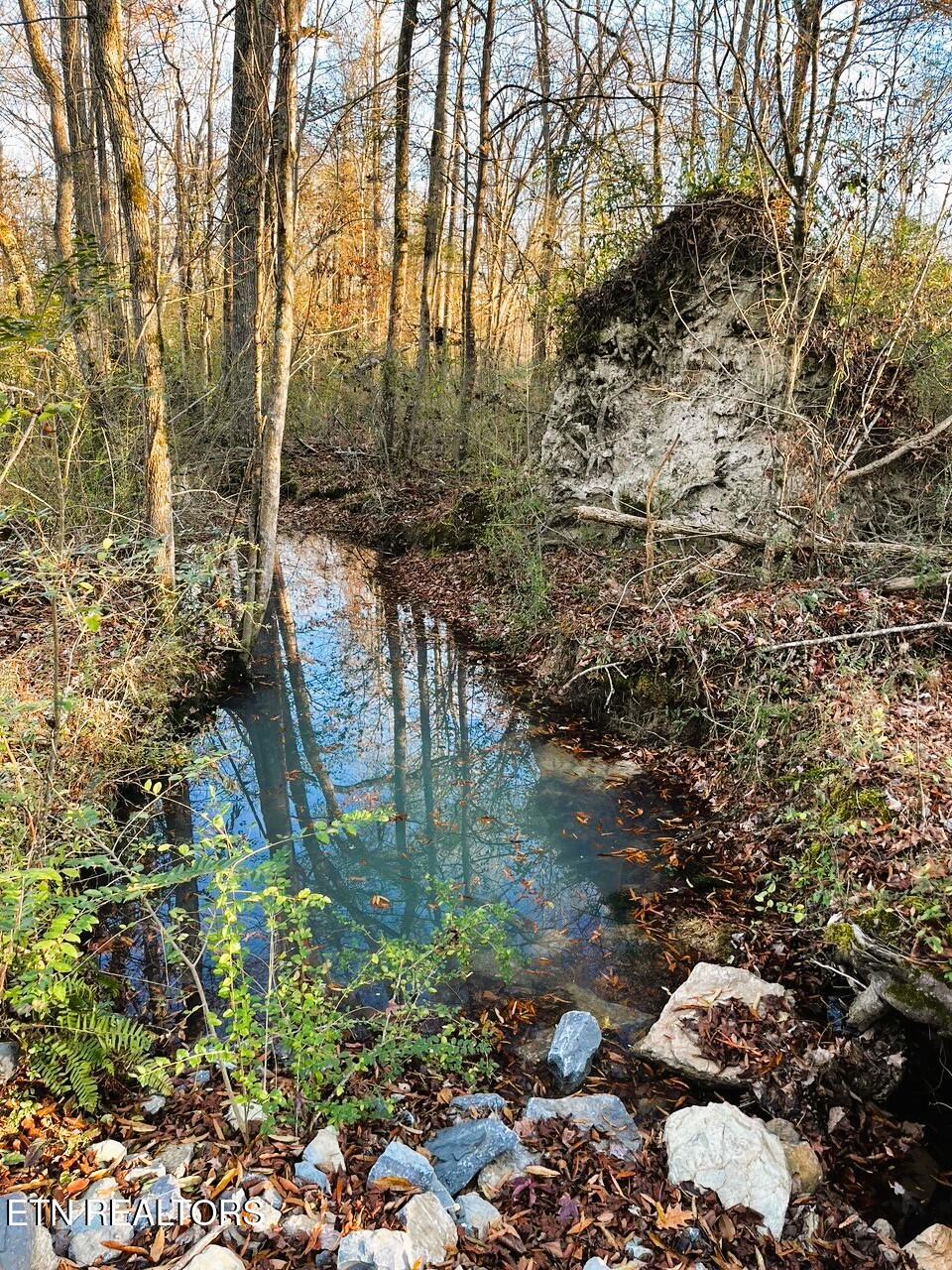 16.75 Ac Euchee Road Property Photo 7