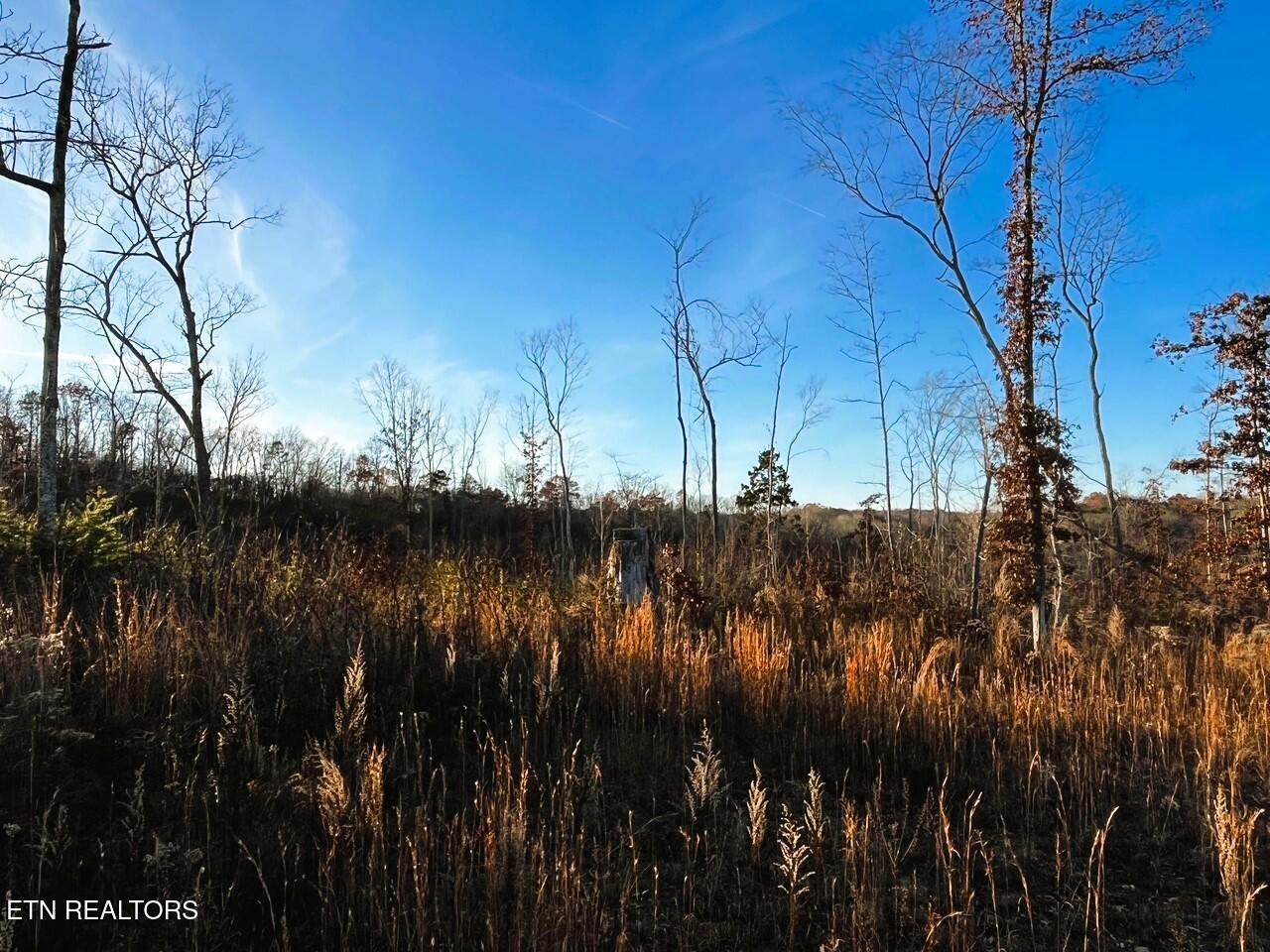 16.75 Ac Euchee Road Property Photo 8