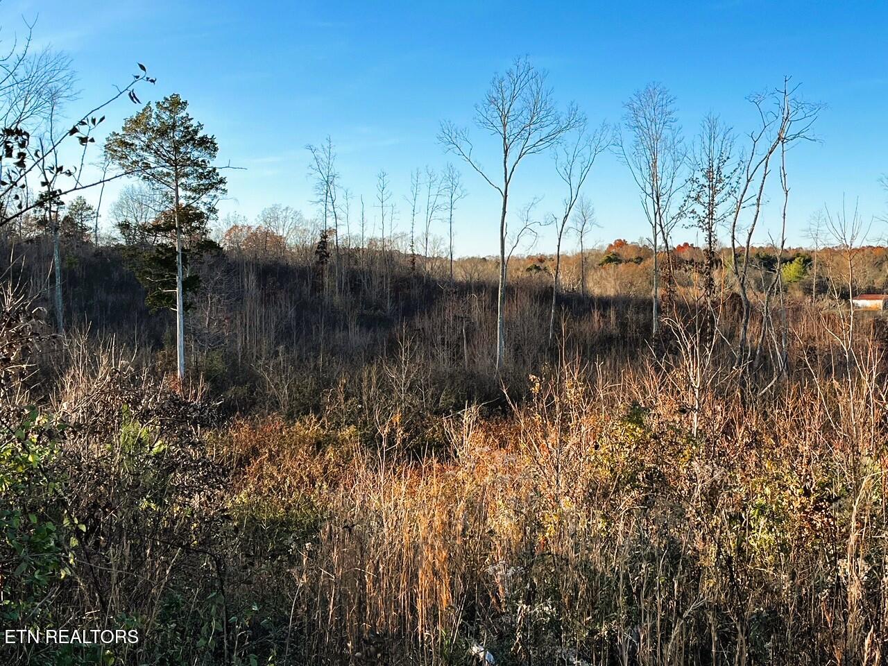 16.75 Ac Euchee Road Property Photo 10